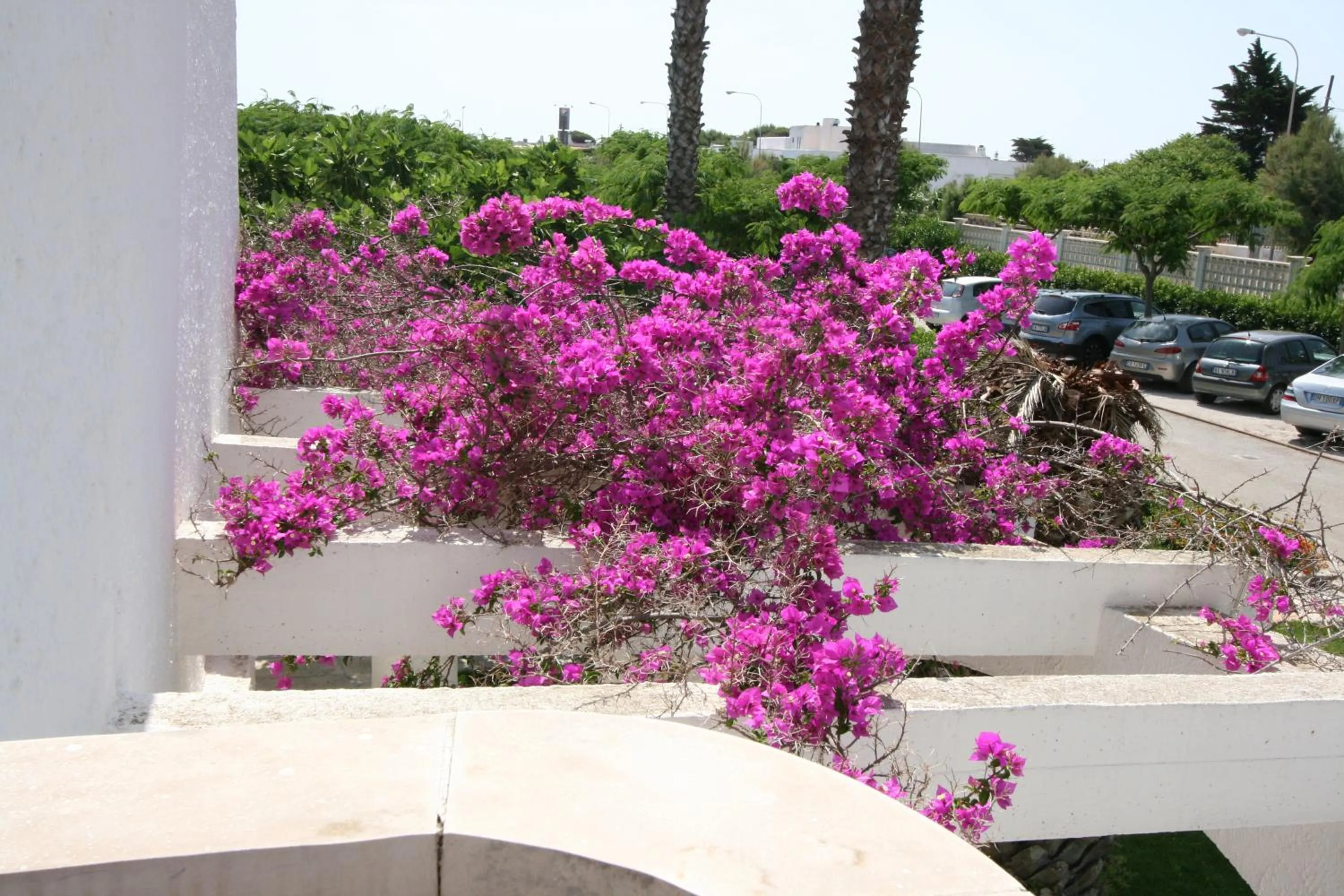 Day in Residence Club Barbara