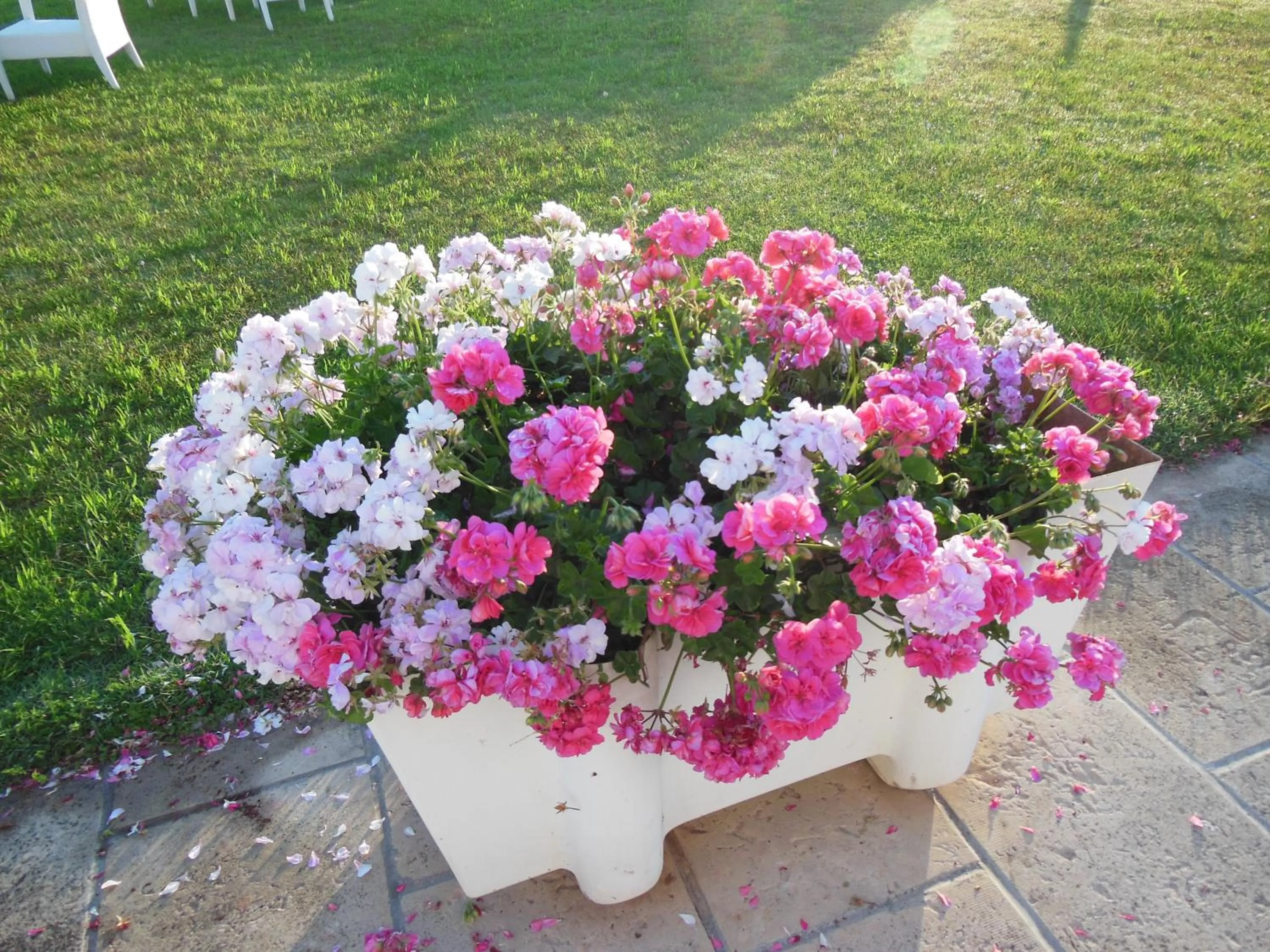 Garden in Residence Club Barbara