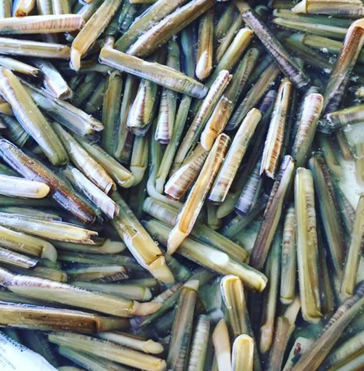 Food in Hotel Mandetta - Adults Only