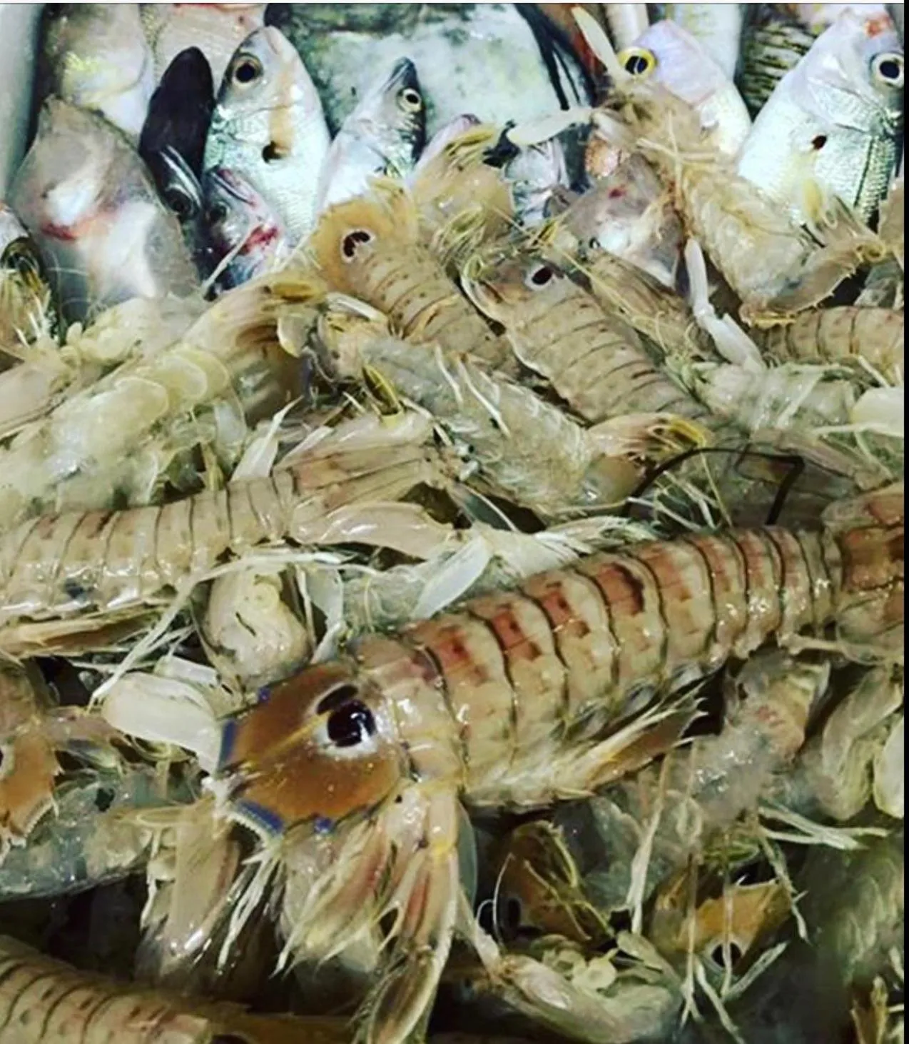 Food in Hotel Mandetta - Adults Only