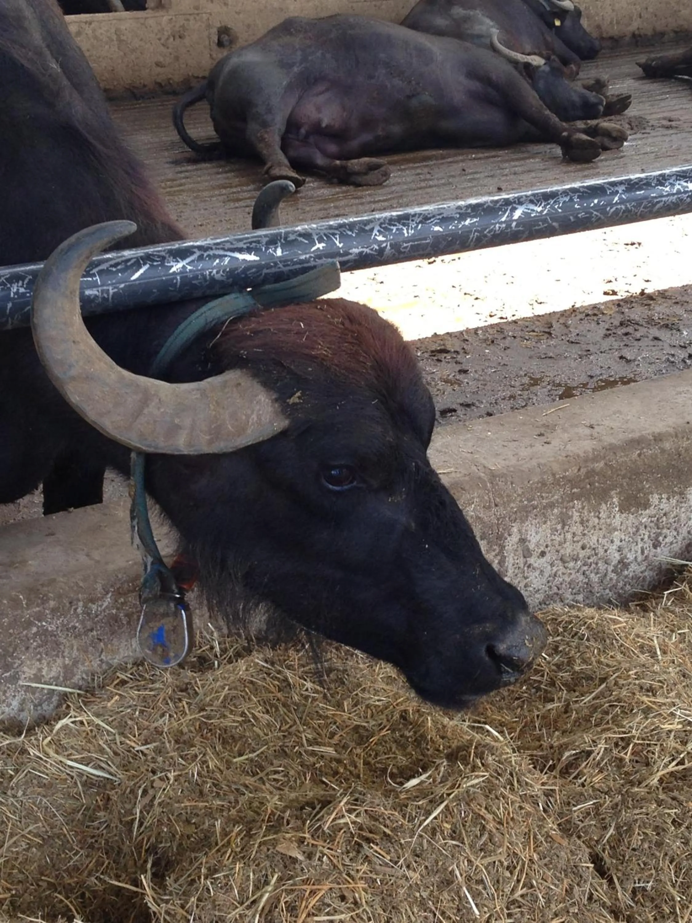 Day in Hotel Mandetta - Adults Only