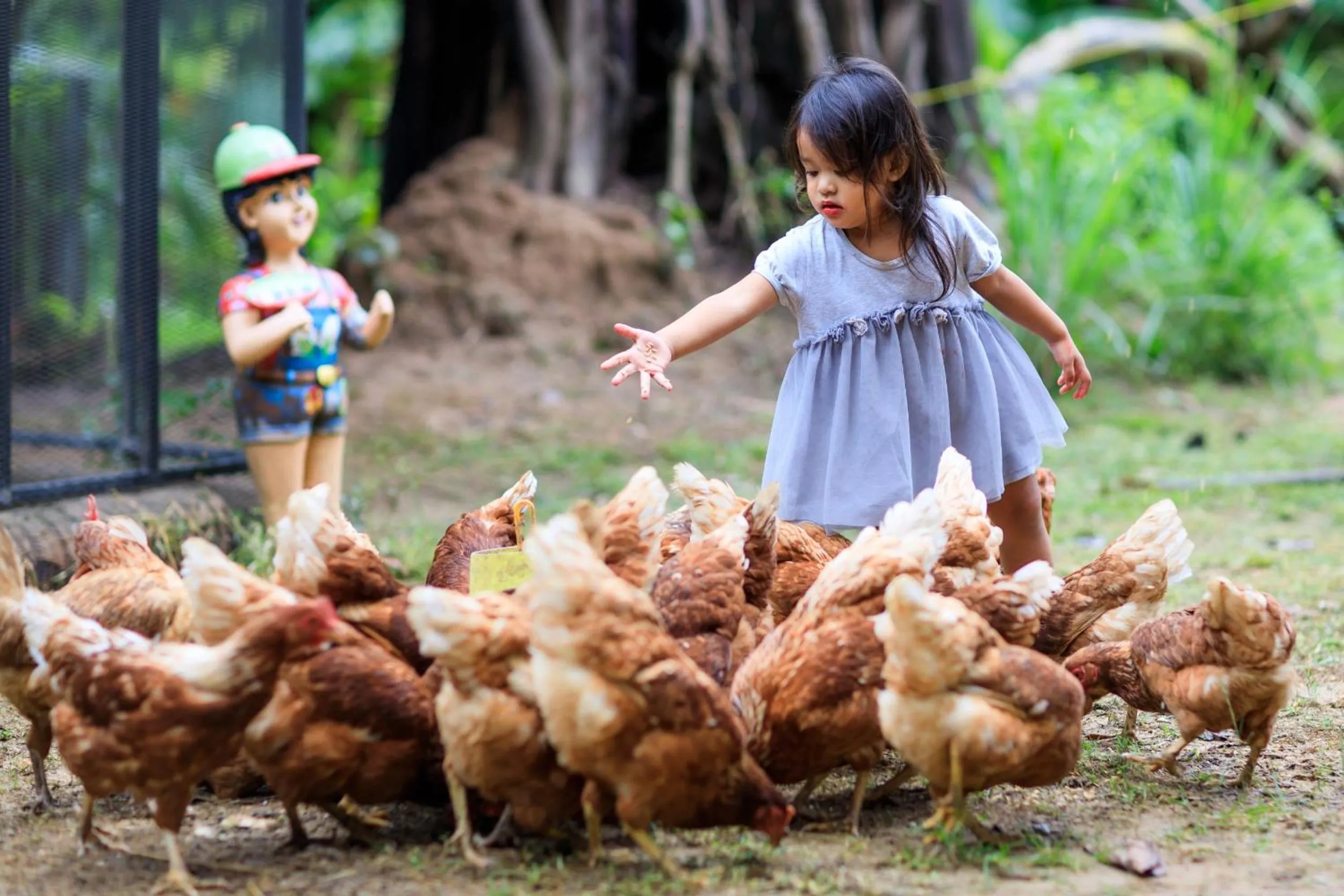 Animals in Bang Po Hut
