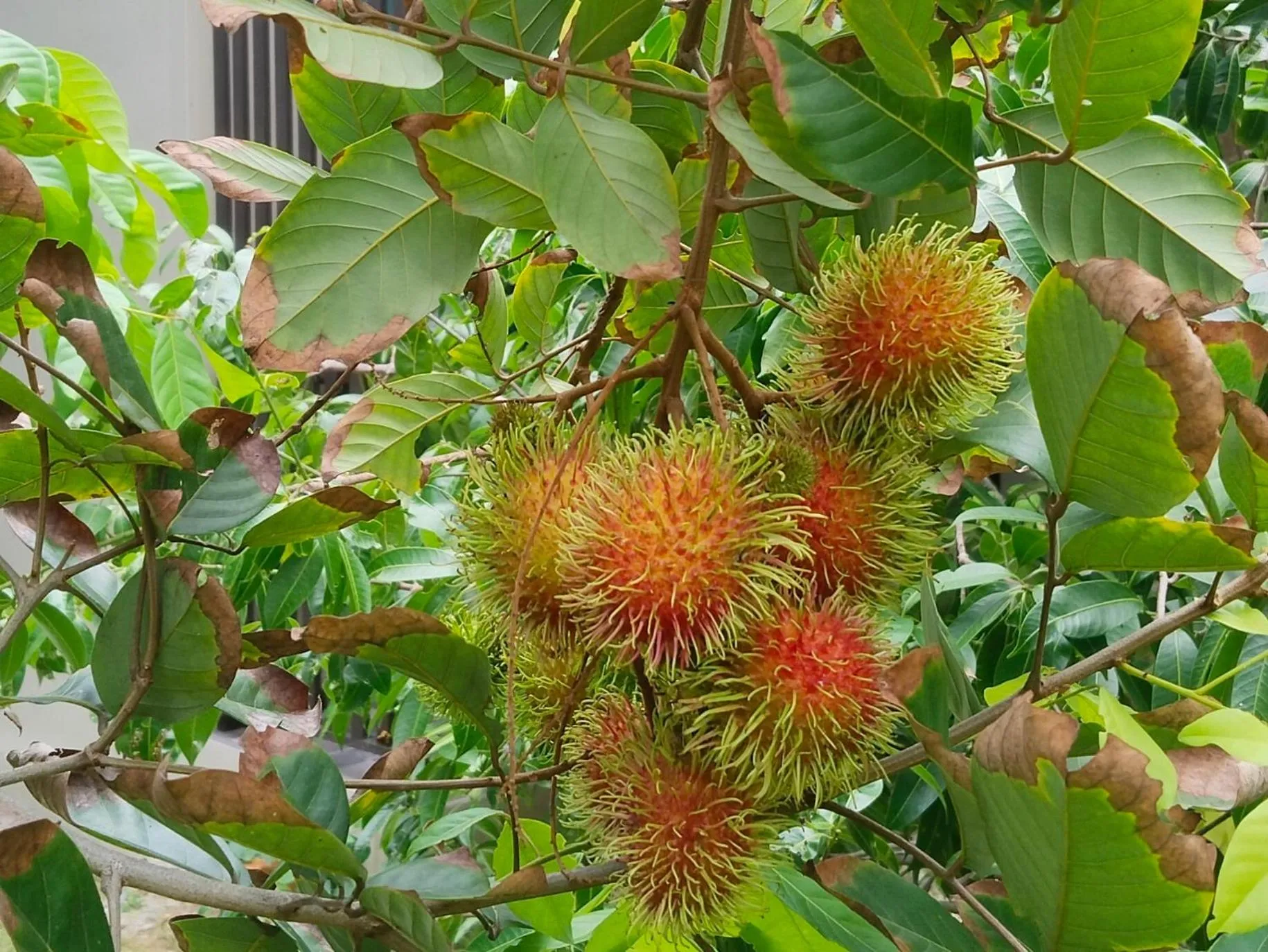 Natural landscape in Bang Po Hut