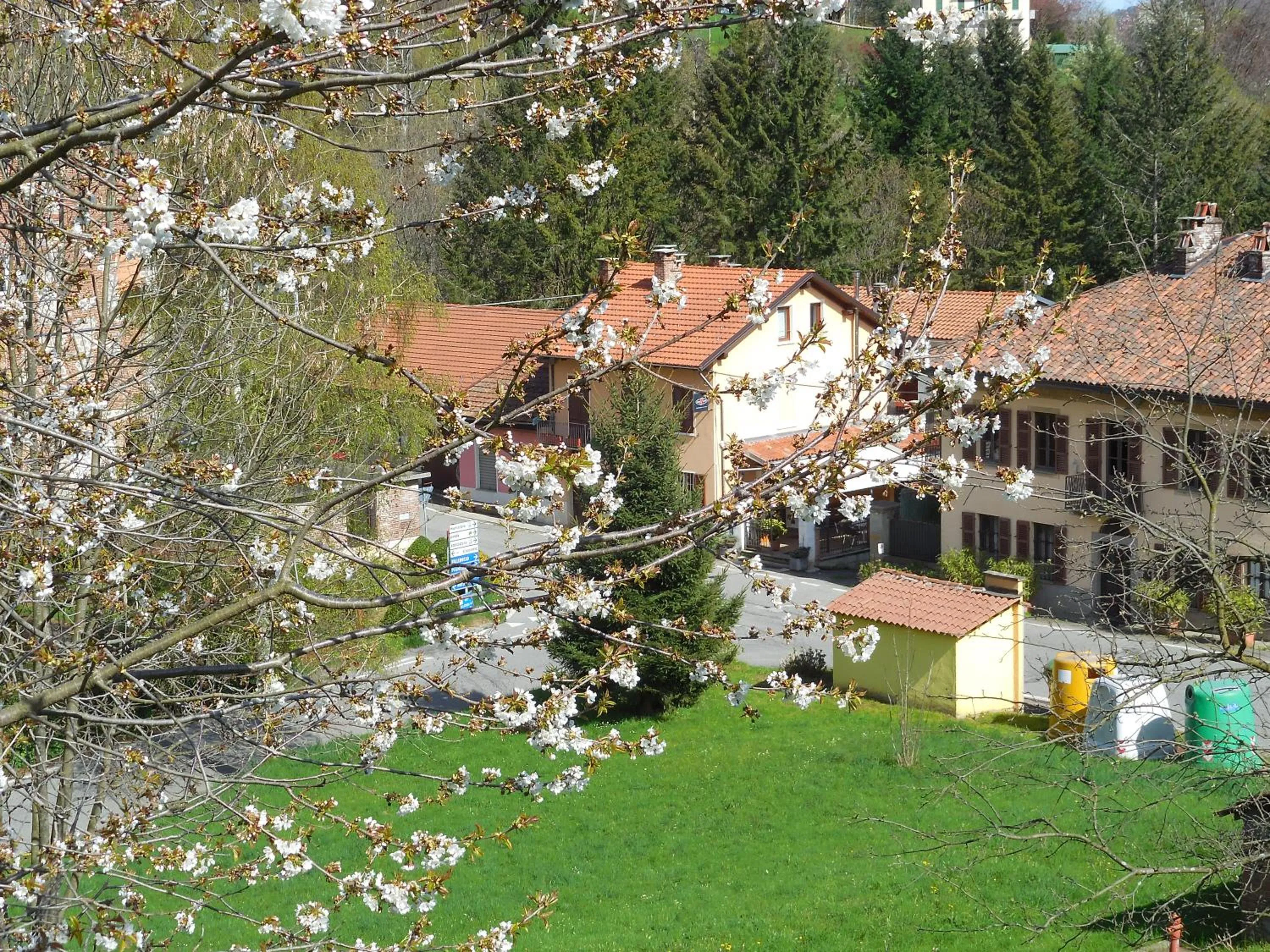 Property building in L'Erbavoglio