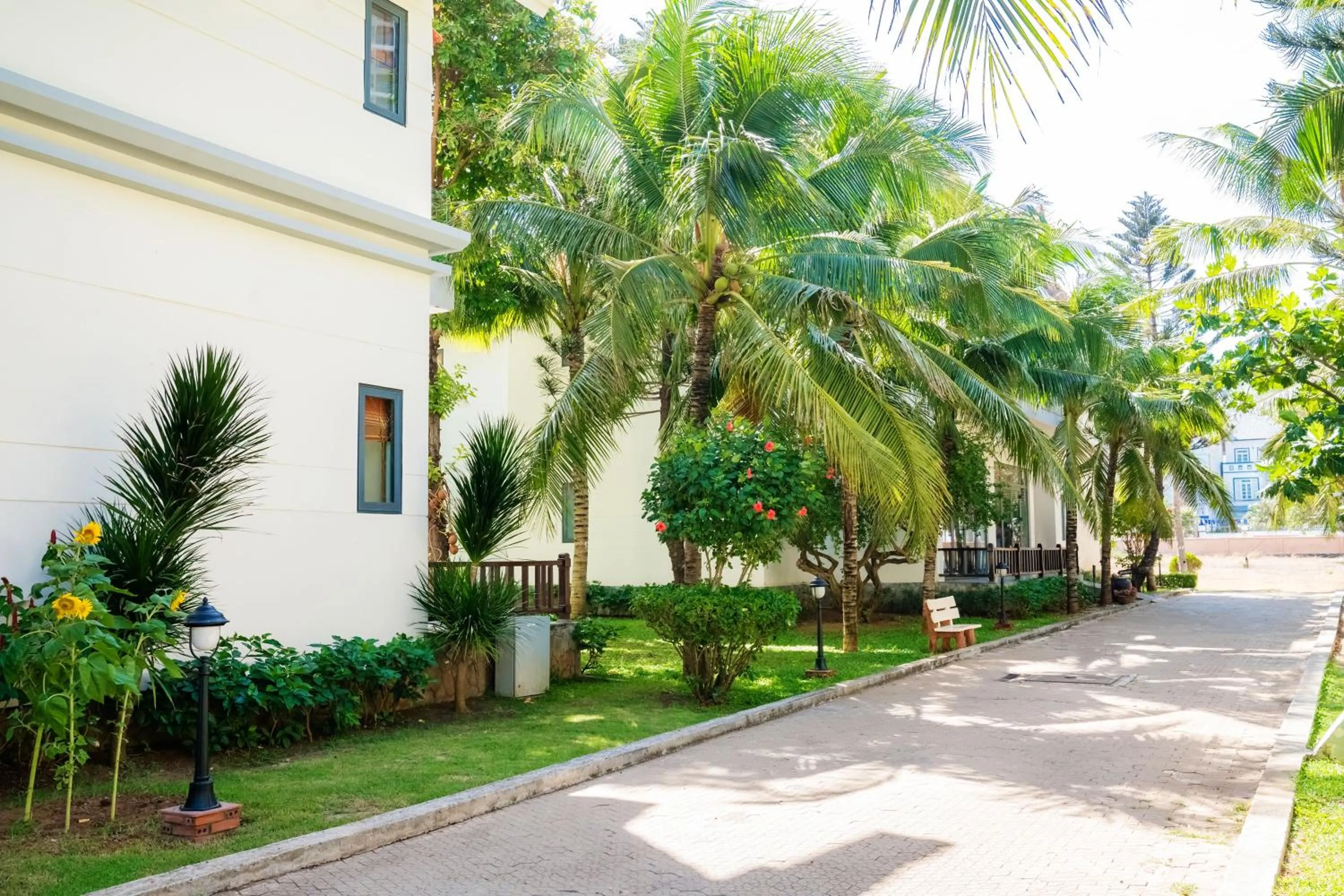 Natural landscape in Lotus Vung Tau Resort & Spa