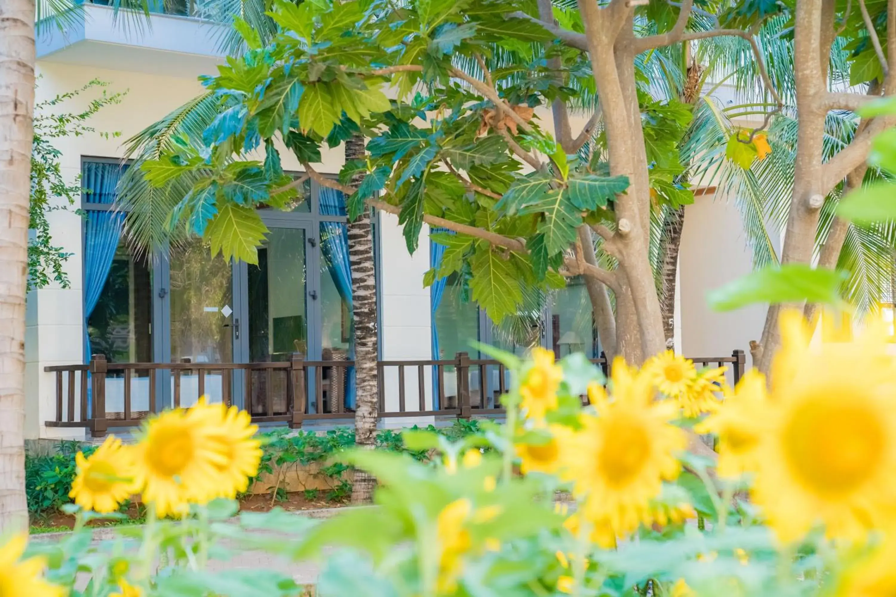 Garden view in Lotus Vung Tau Resort & Spa Garden view in Lotus Vung Tau Resort & Spa