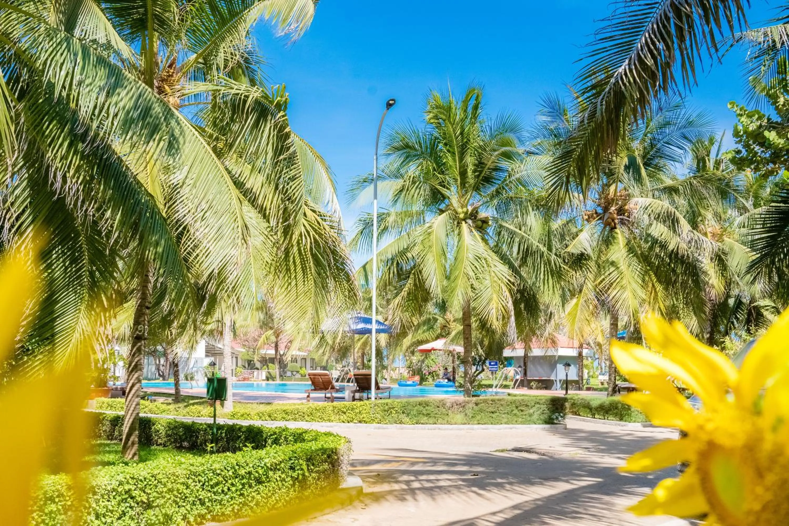 Swimming pool in Lotus Vung Tau Resort & Spa