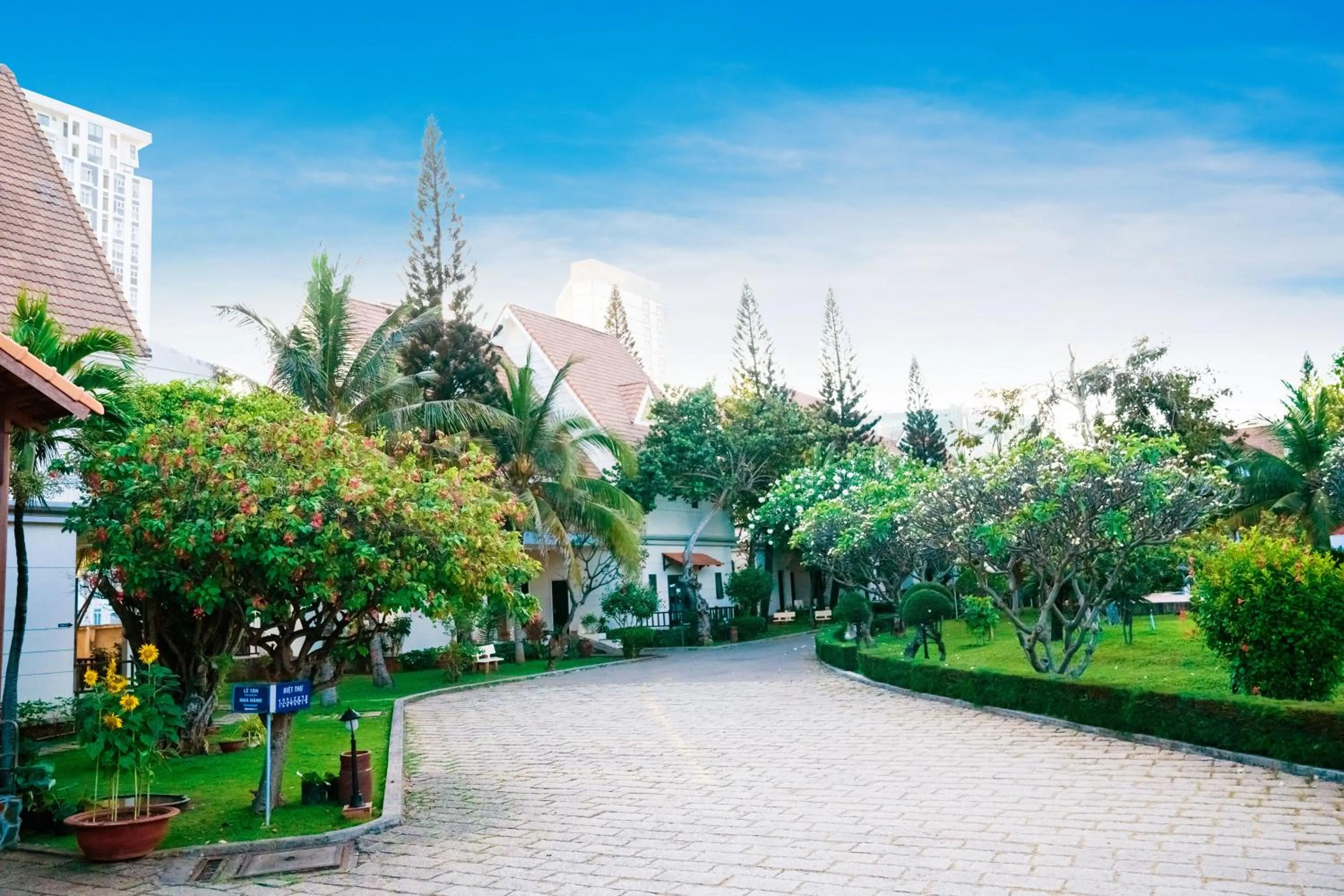 Natural landscape in Lotus Vung Tau Resort & Spa