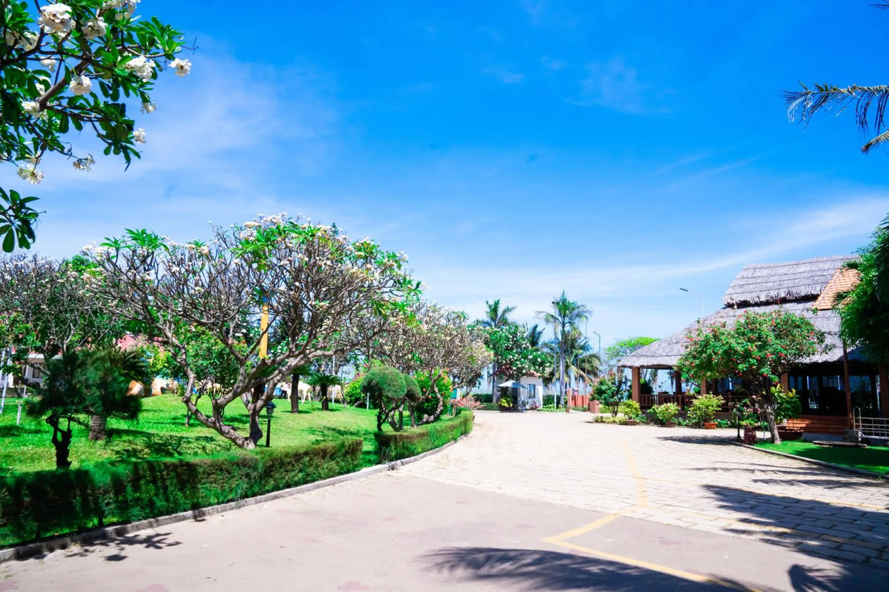 Garden view in Lotus Vung Tau Resort & Spa