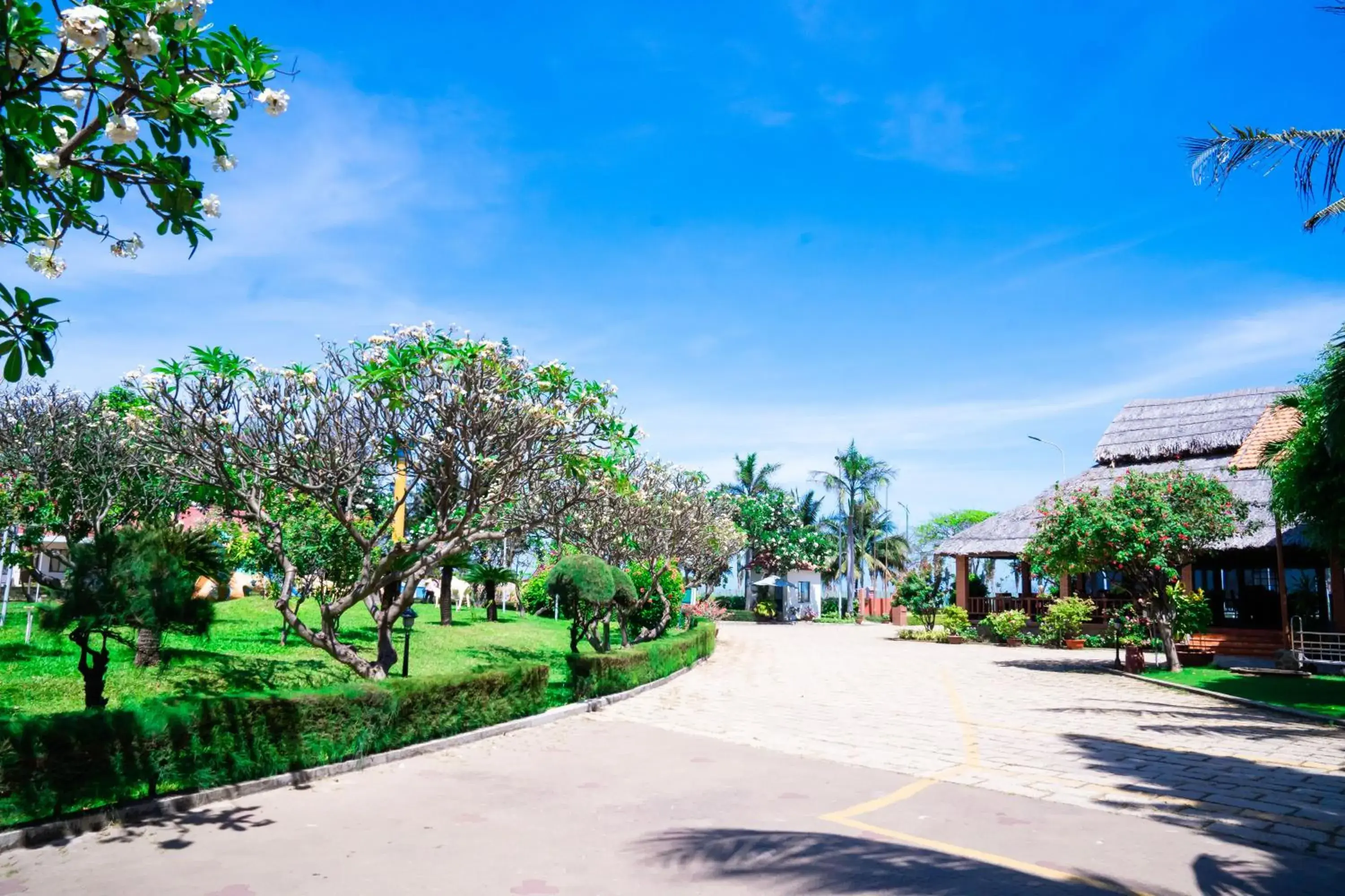 Garden view in Lotus Vung Tau Resort & Spa Garden view in Lotus Vung Tau Resort & Spa