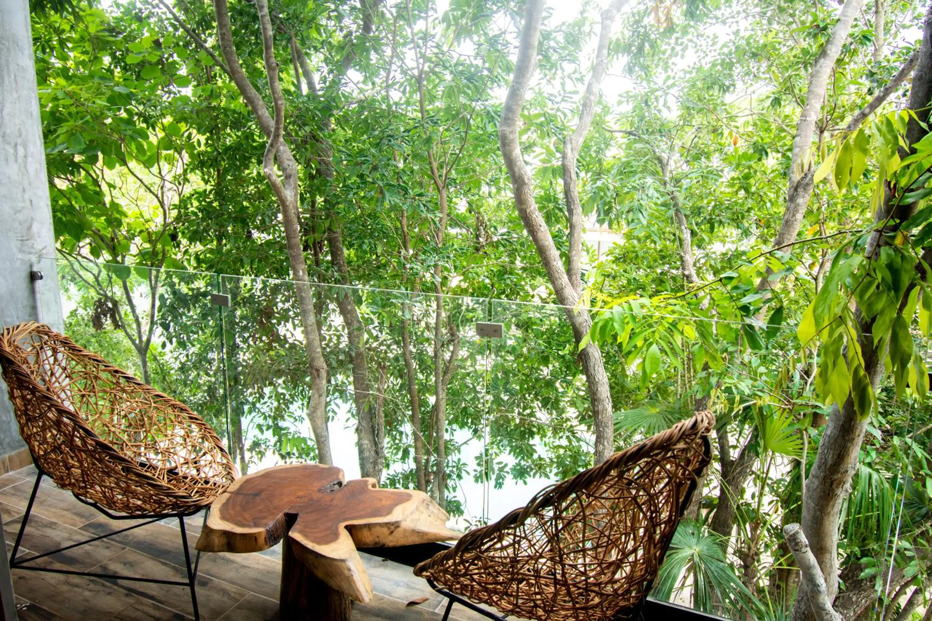 View (from property/room) in Hotel Casa Tortuga Tulum - Cenotes Park Inclusive