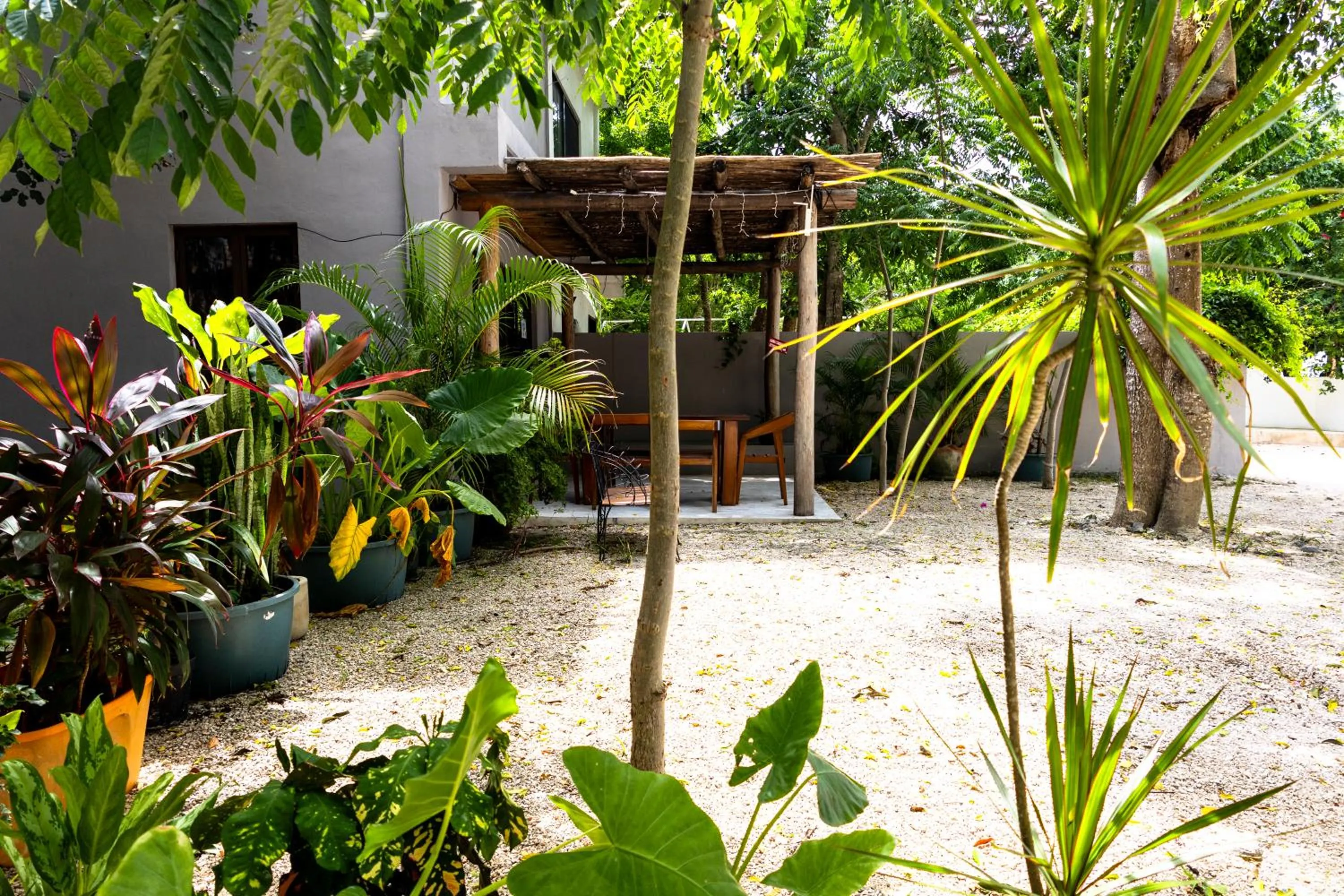 Lobby or reception in Hotel Casa Tortuga Tulum - Cenotes Park Inclusive