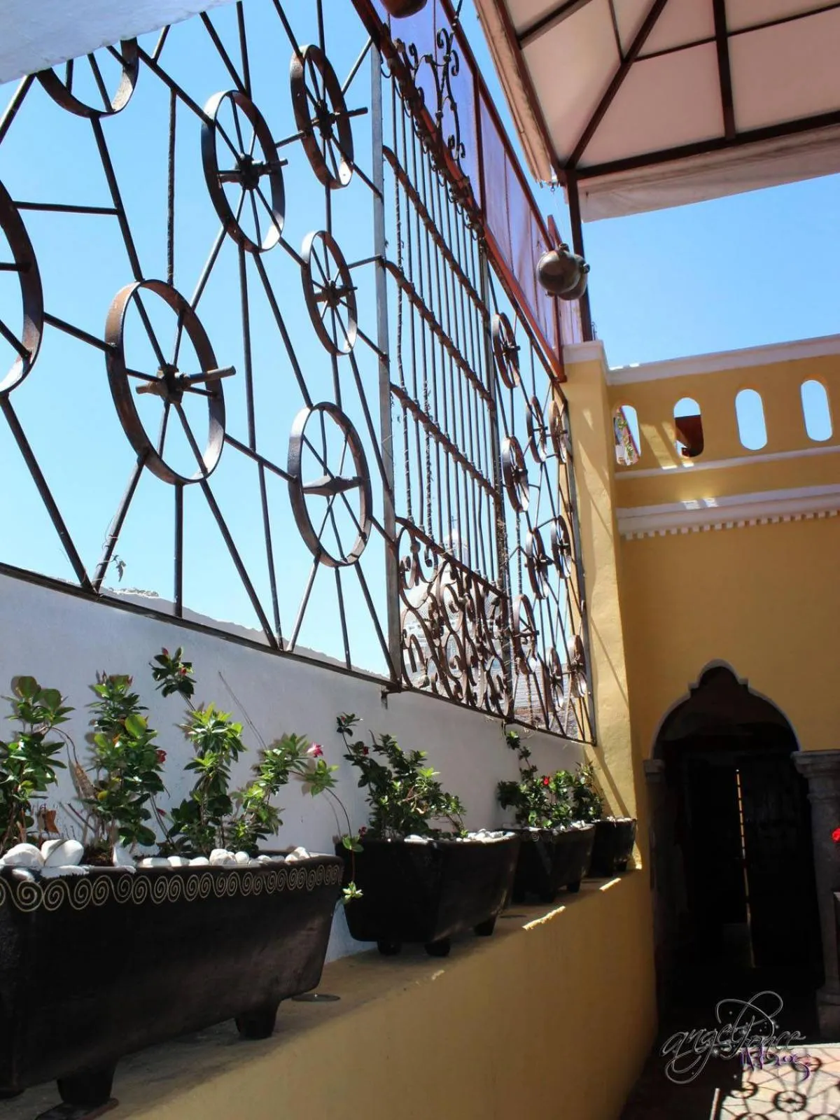 Area and facilities in Hotel Boutique Posada XVII