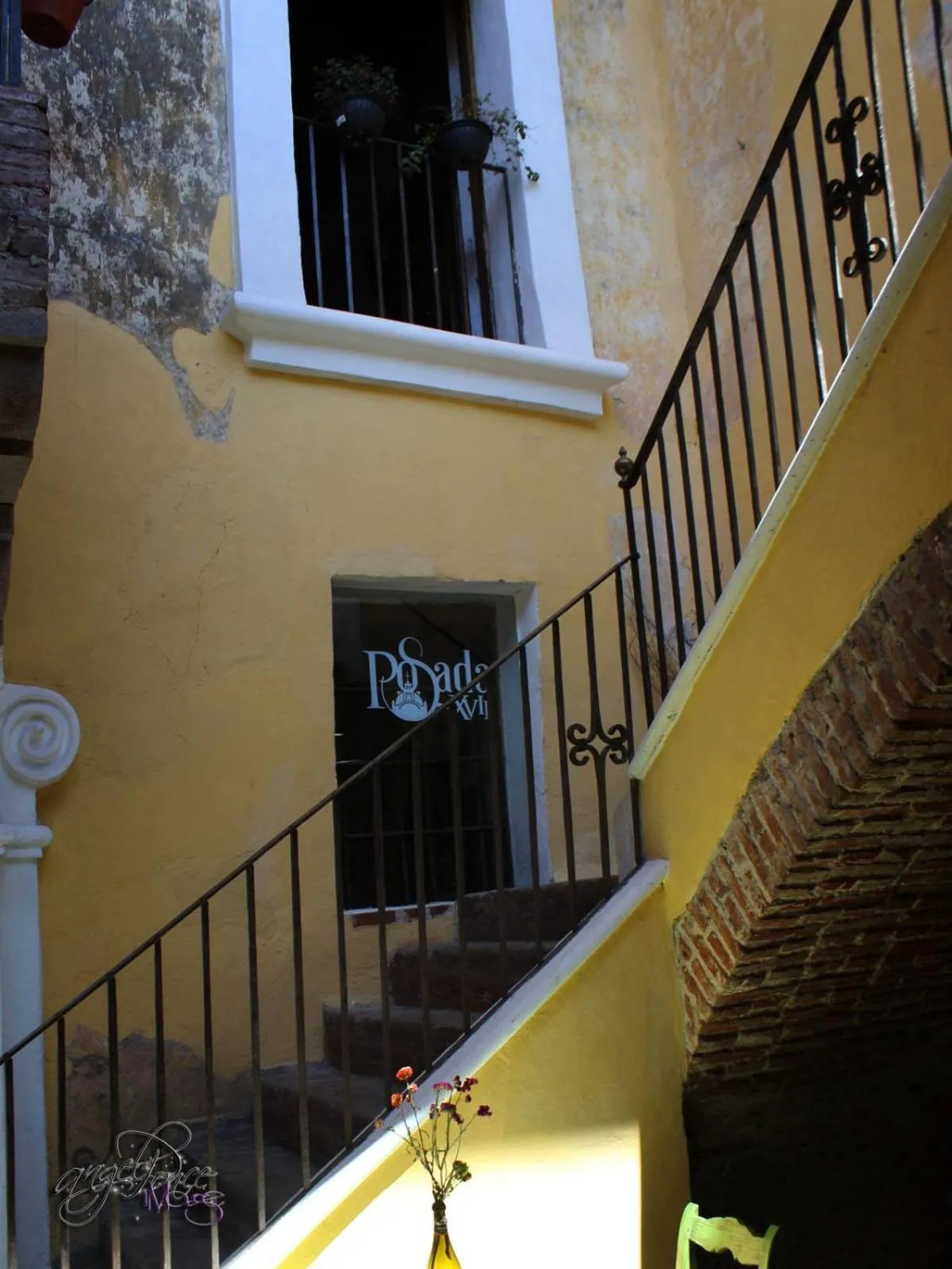 Area and facilities in Hotel Boutique Posada XVII