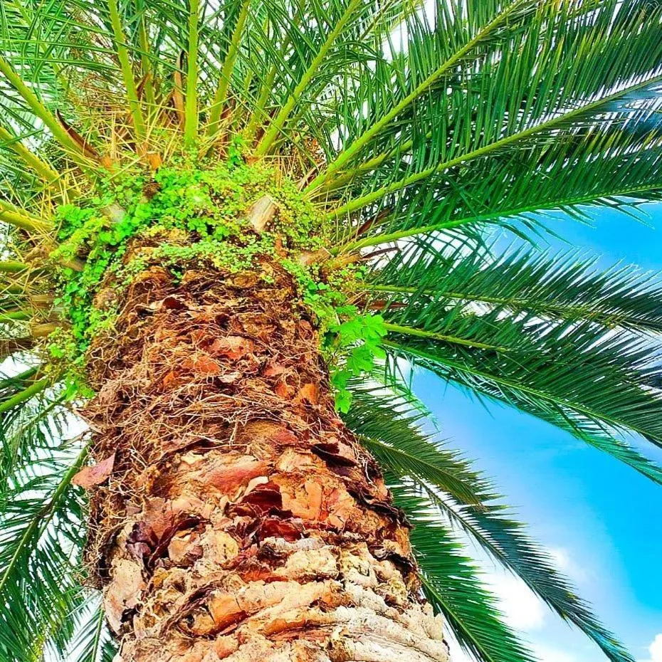 Decorative detail in Hotel San Marco
