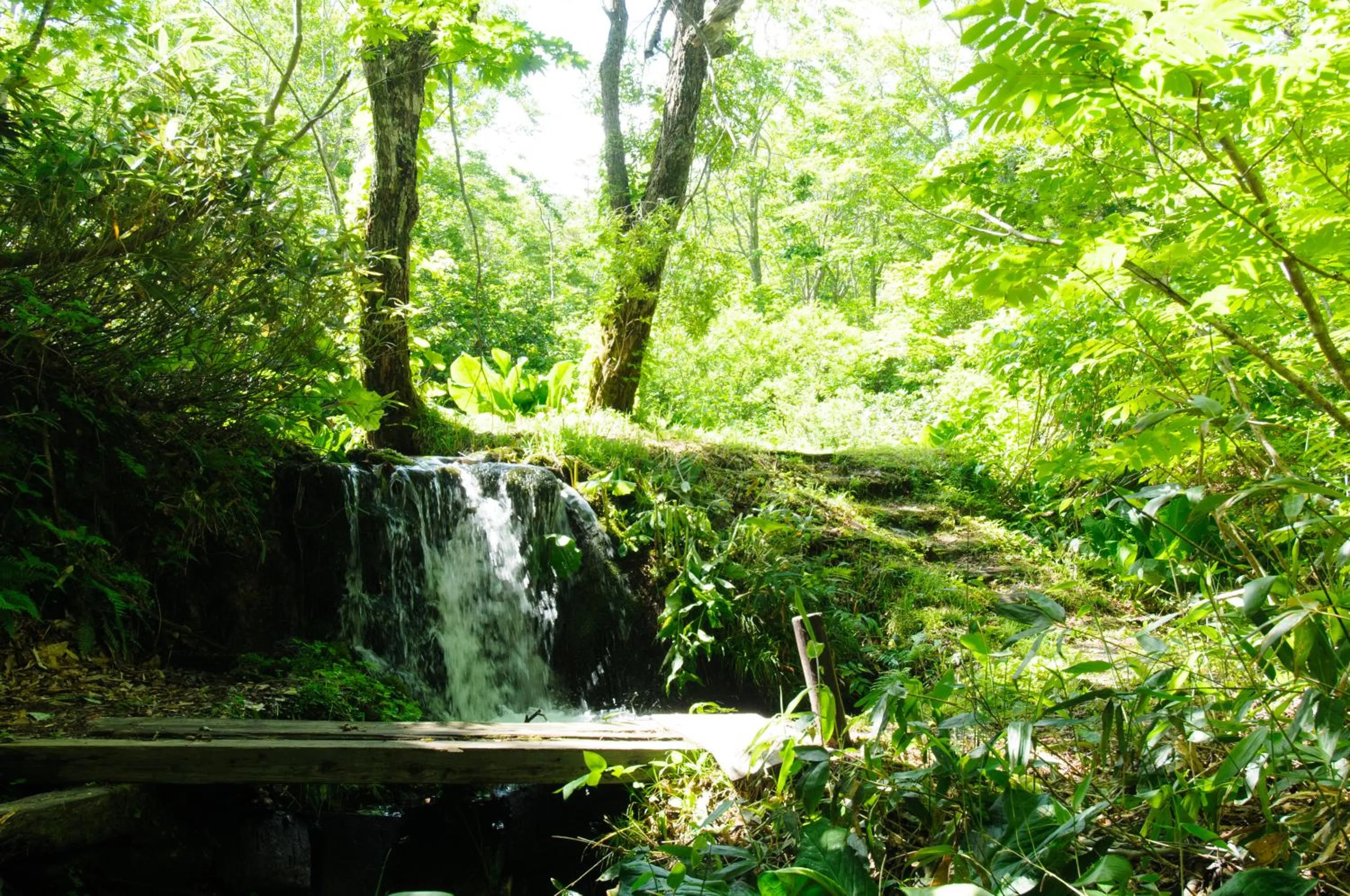 Nearby landmark in Yachi Onsen