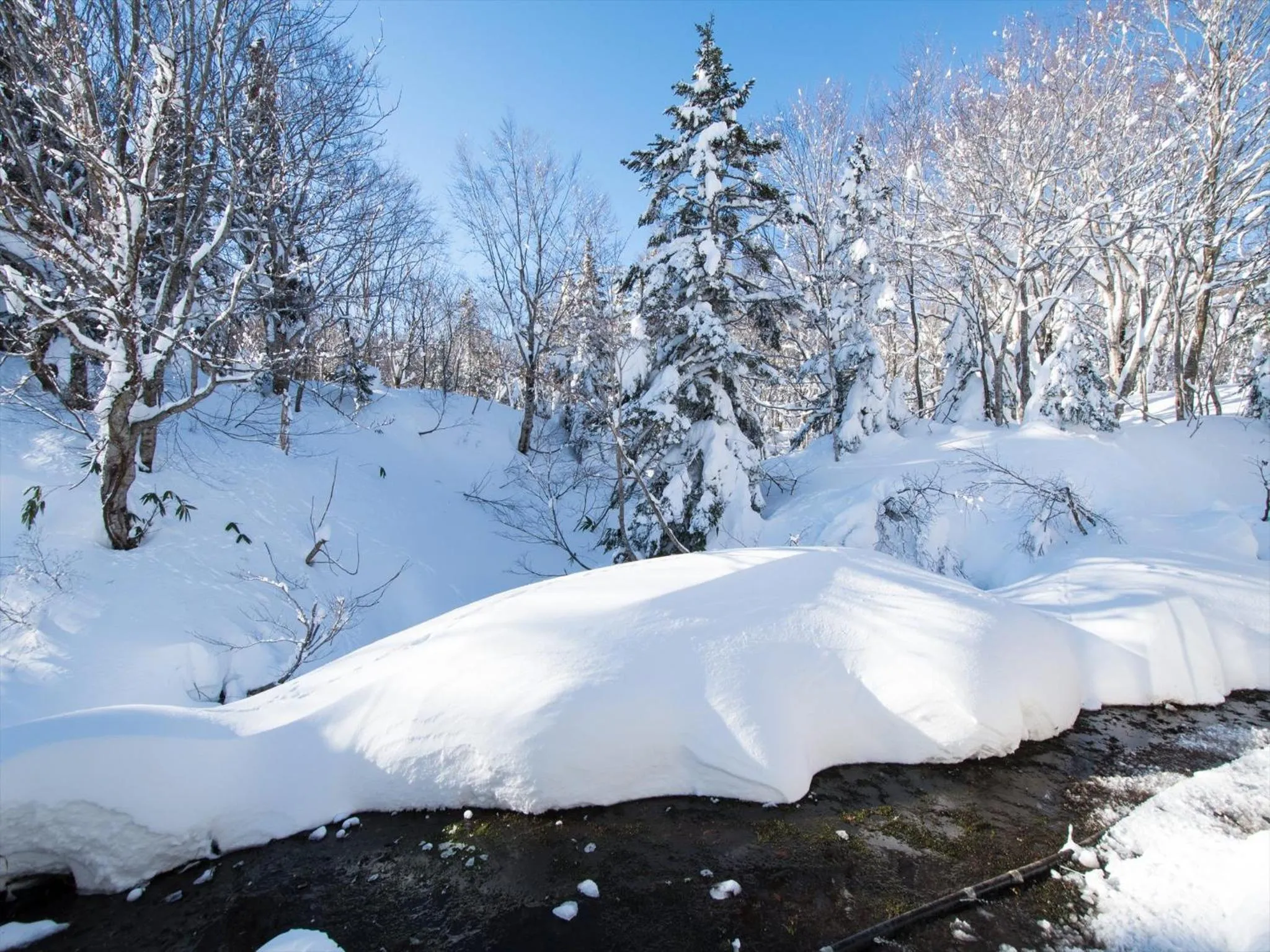 Property building in Yachi Onsen