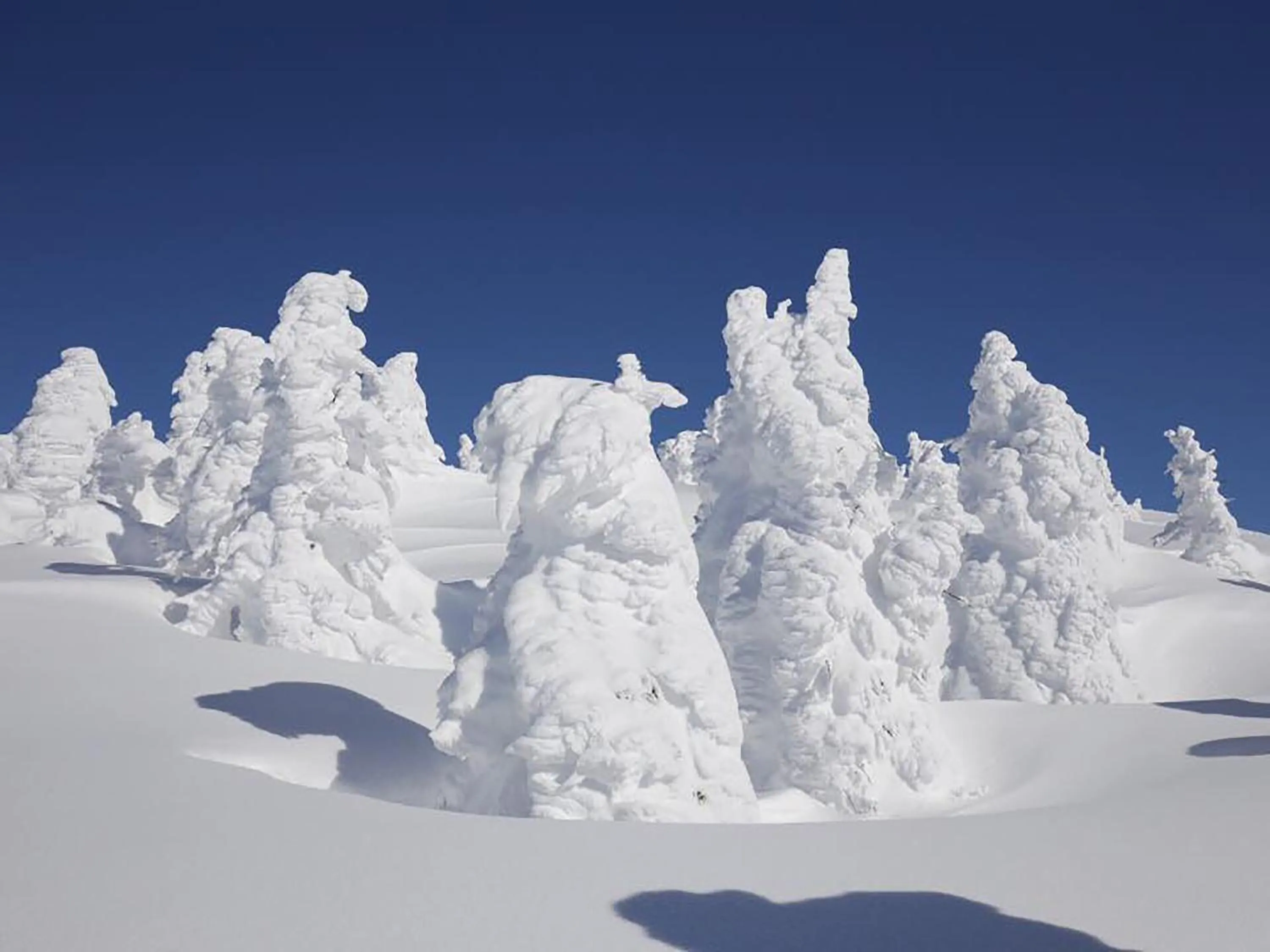 Nearby landmark in Yachi Onsen