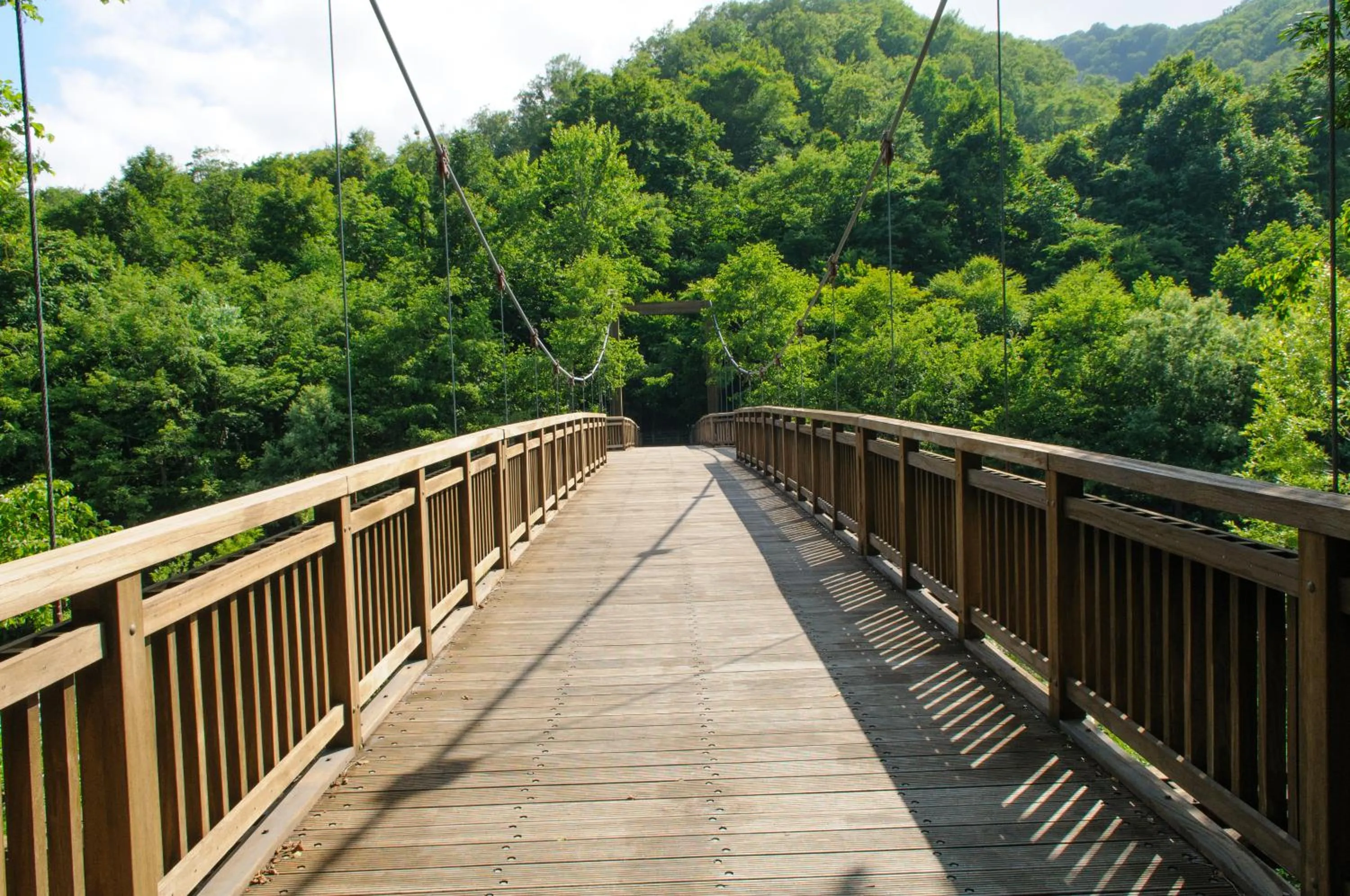Natural landscape in Yachi Onsen