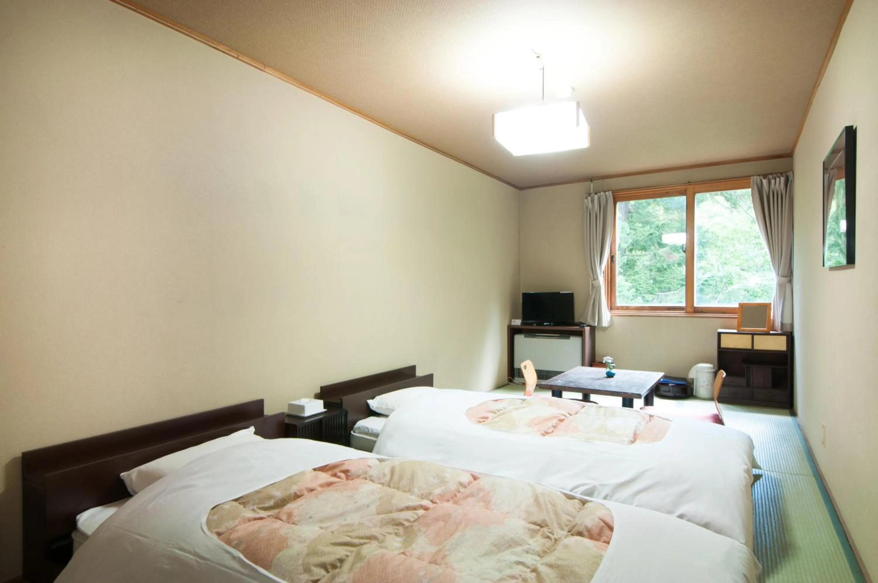 Photo of the whole room, Bed in Yachi Onsen