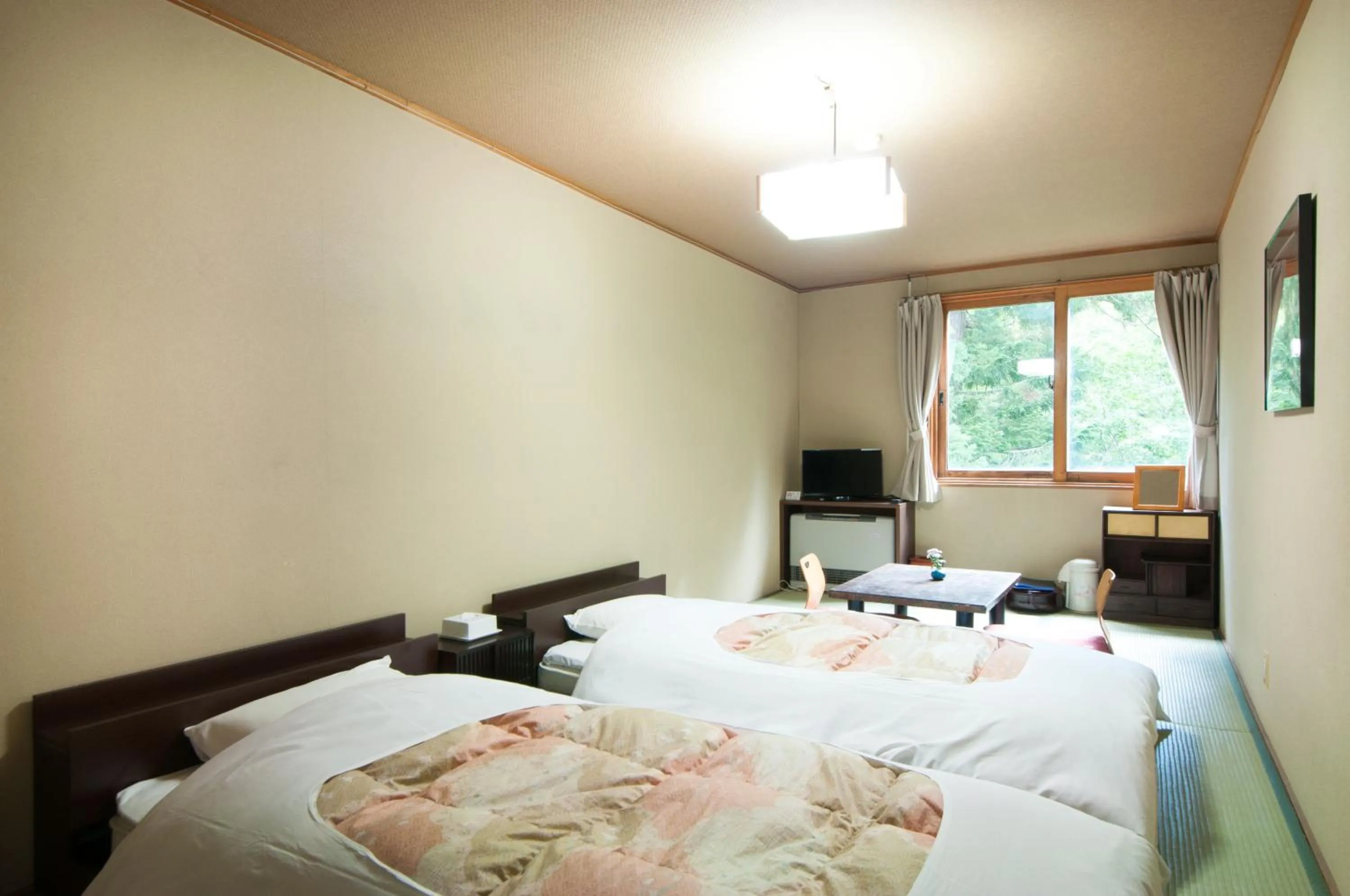 Photo of the whole room, Bed in Yachi Onsen