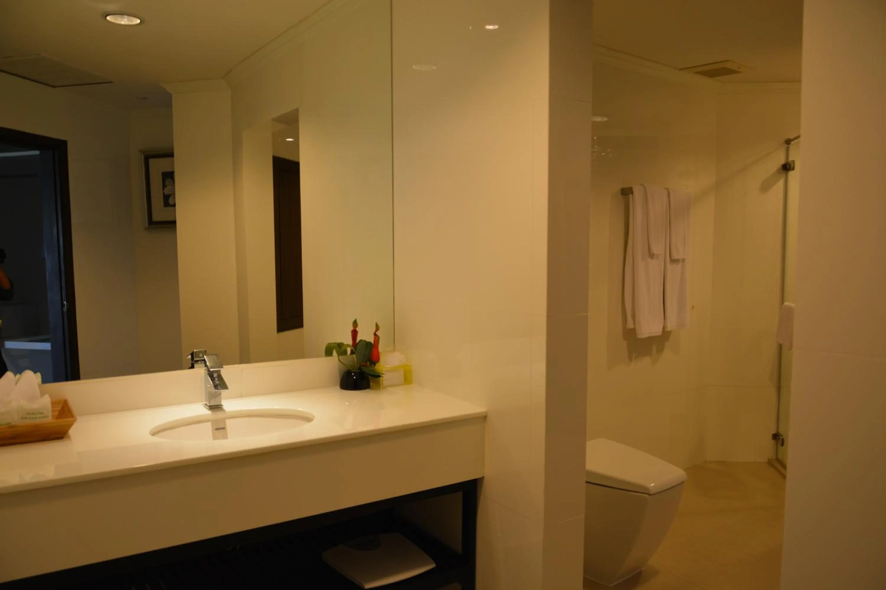 Toilet in Sir James Resort