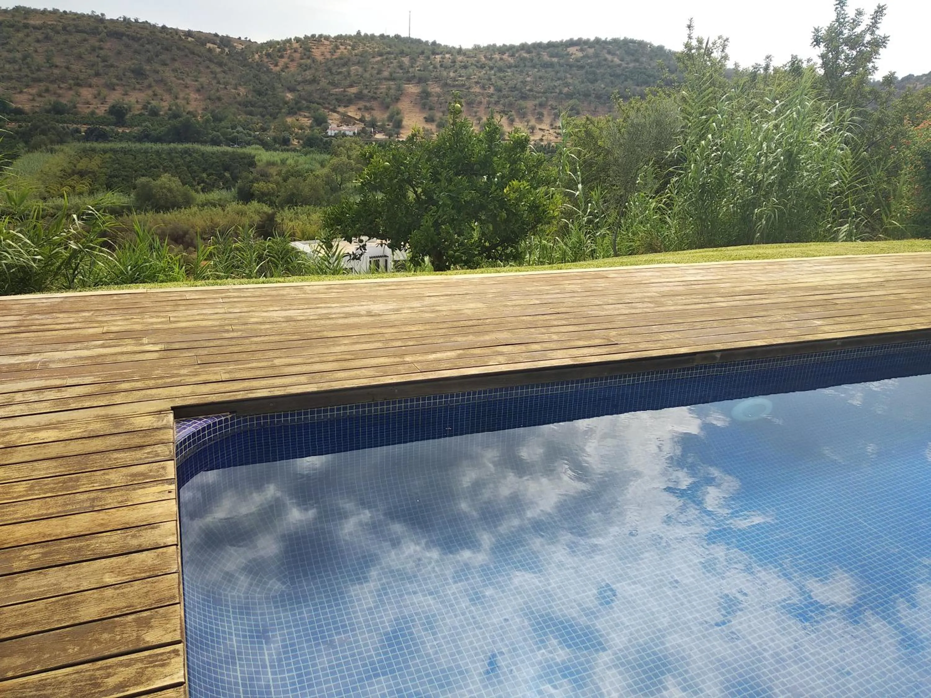 Swimming pool in Casa da Osga