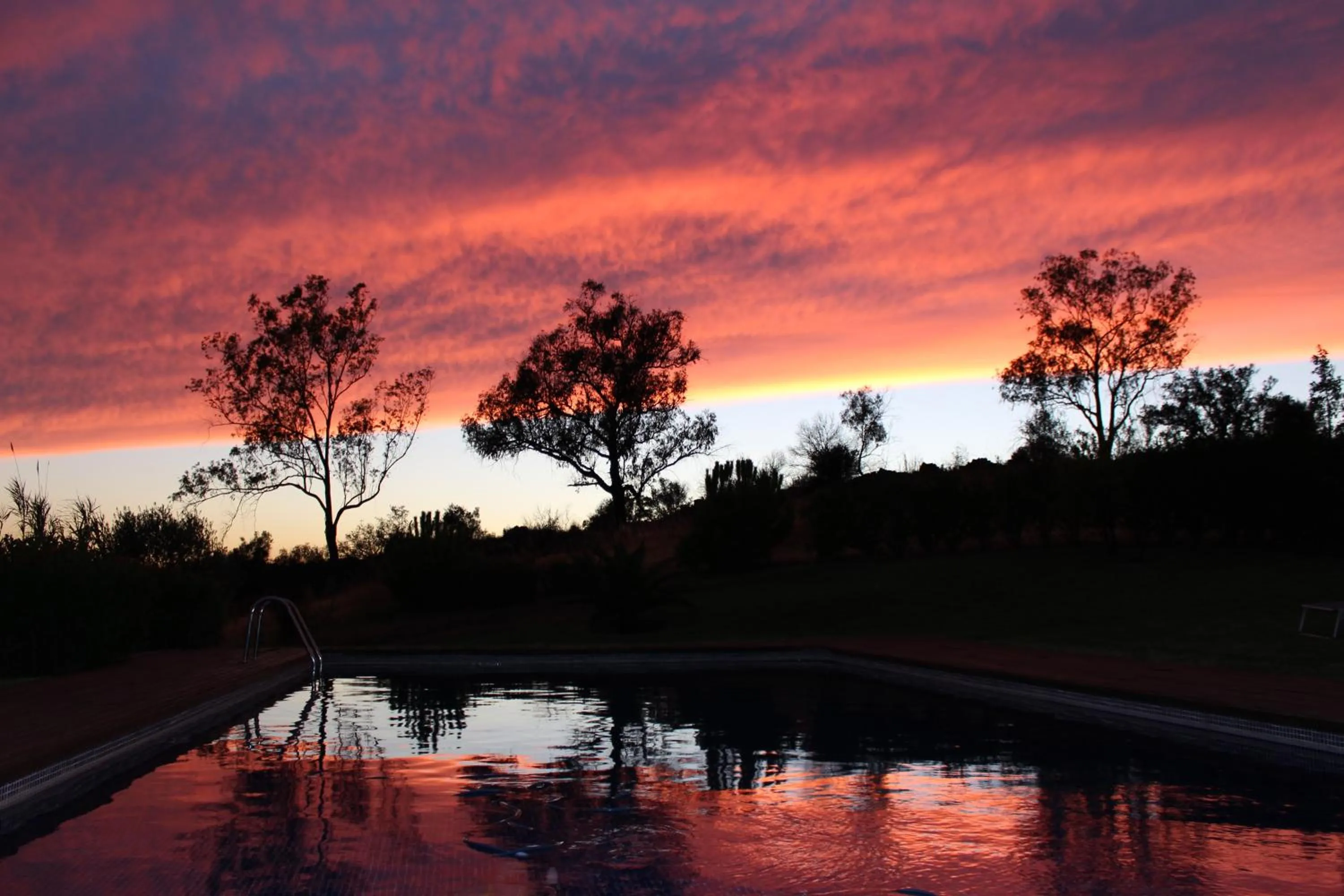 Pool view in Casa da Osga