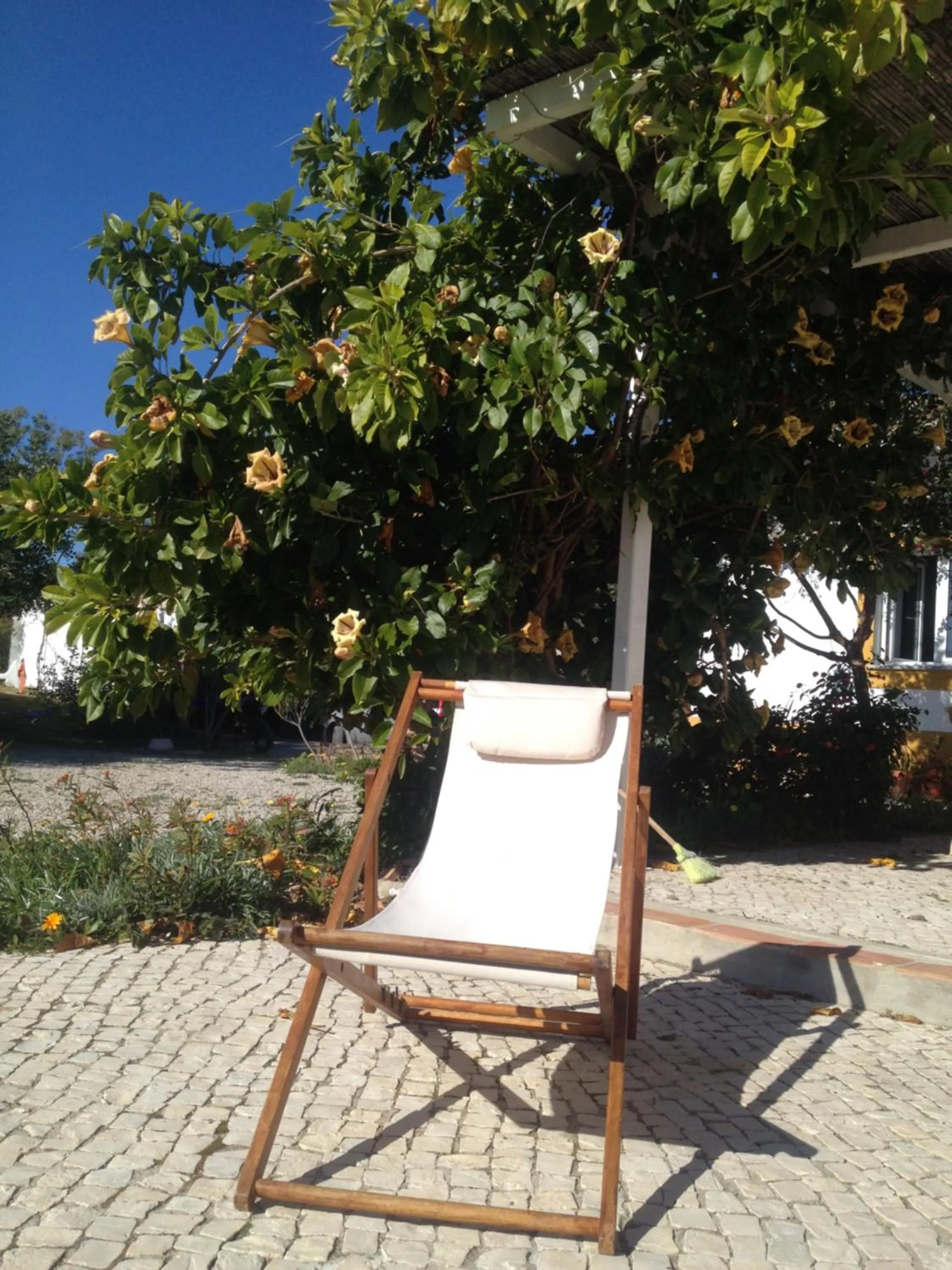 Patio in Casa da Osga