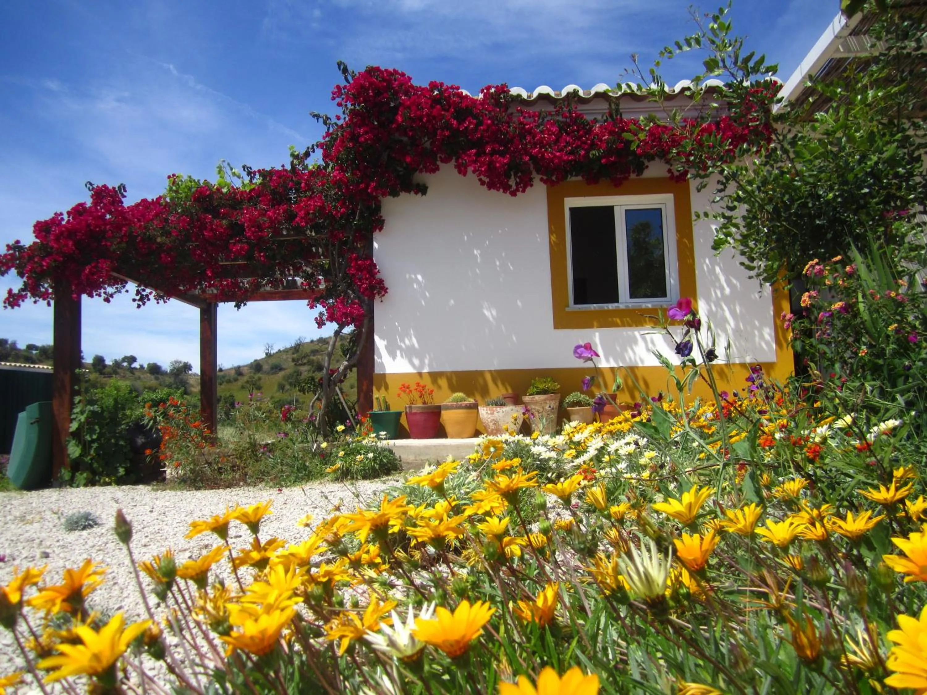 Spring in Casa da Osga