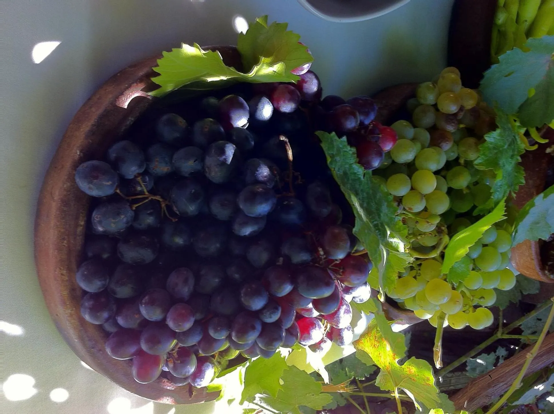 Food in Yusuf Yigitoglu Konagi - Special Category