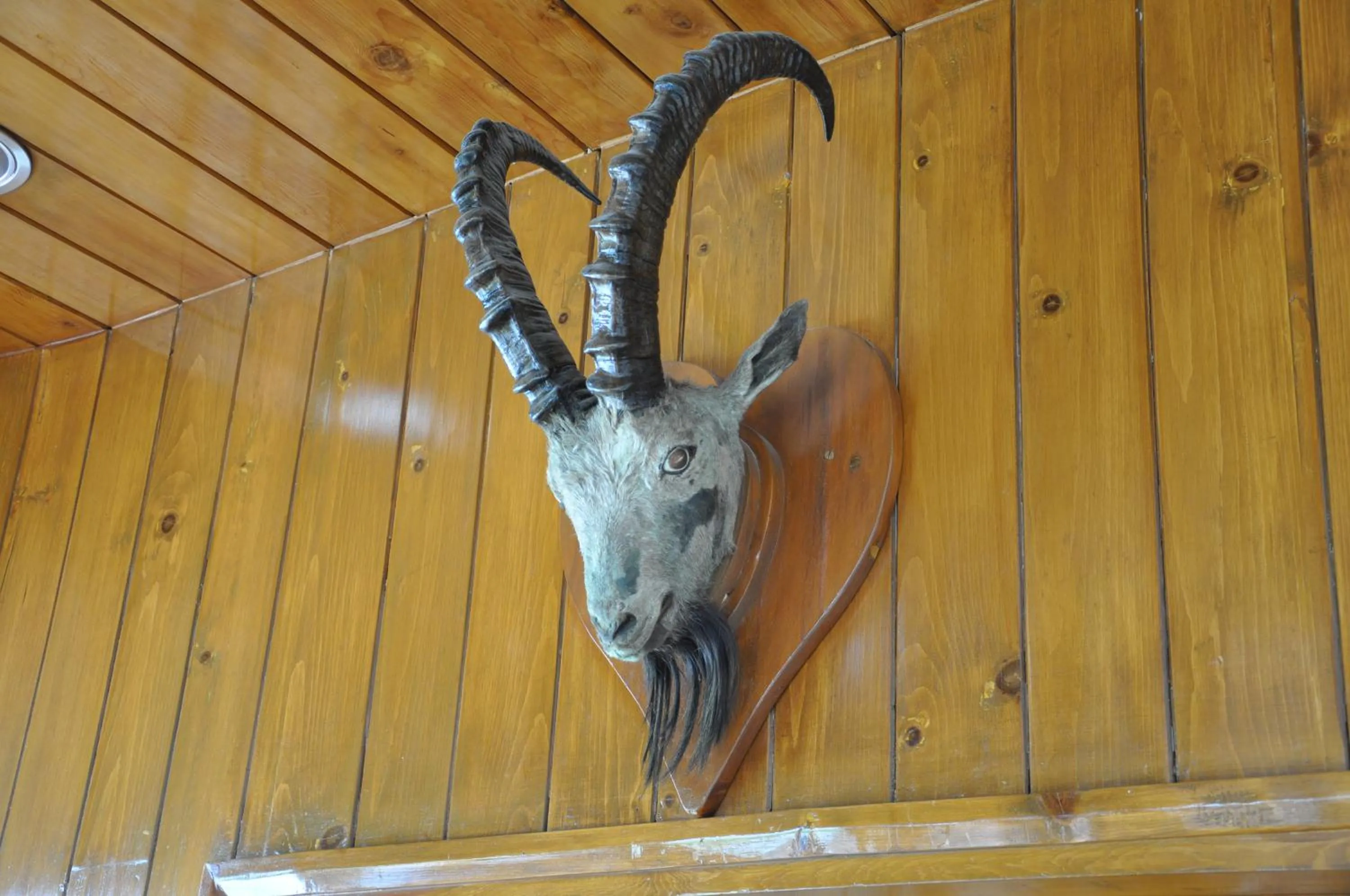 Decorative detail in Gilgit Serena Hotel