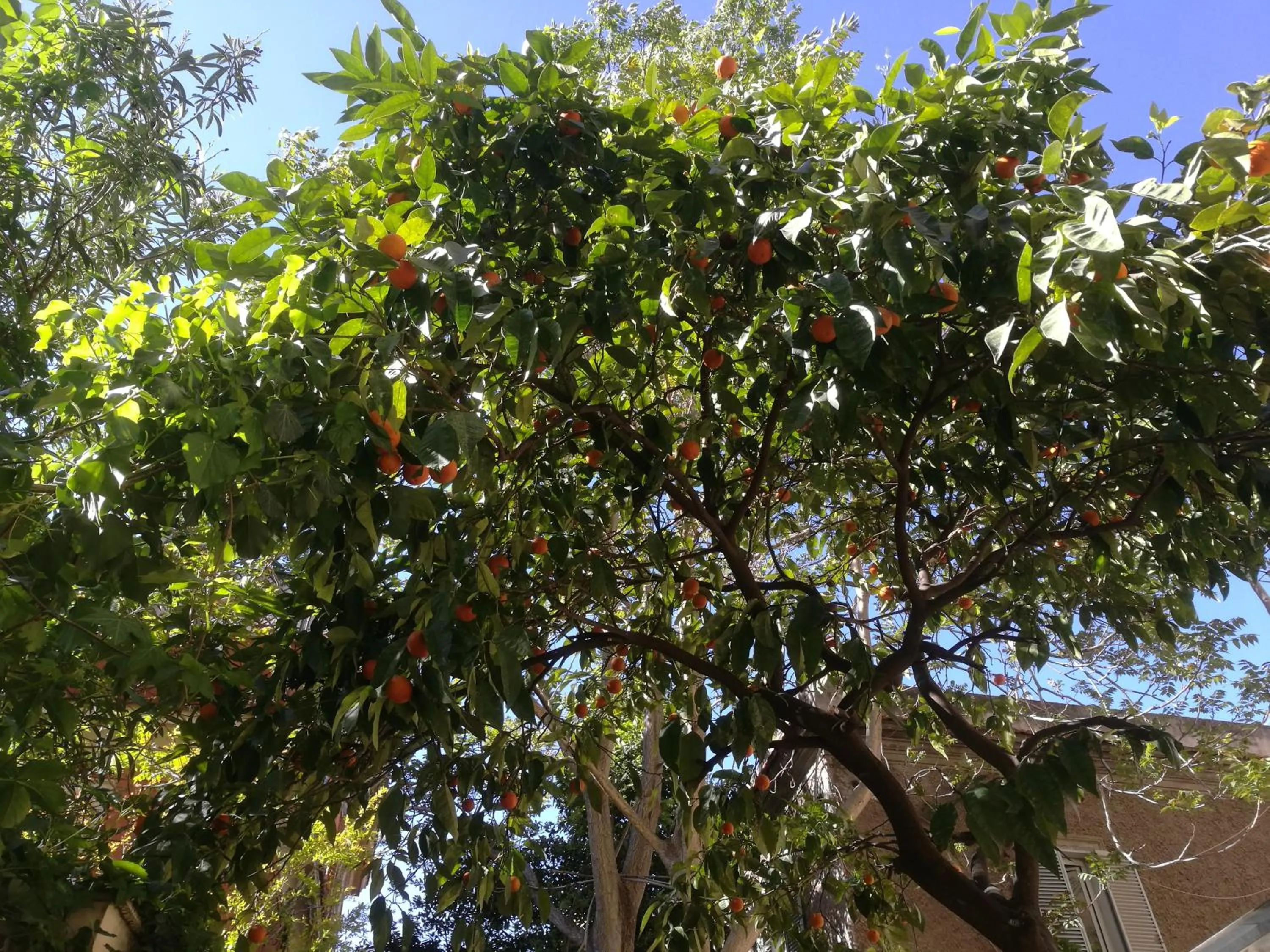 Spring in Casa in Monti