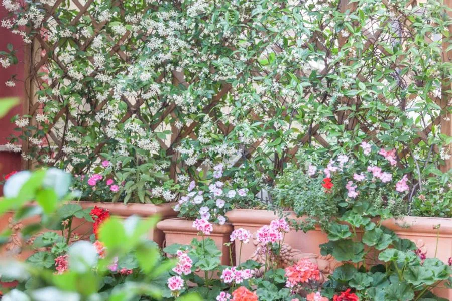Garden in Casa in Monti