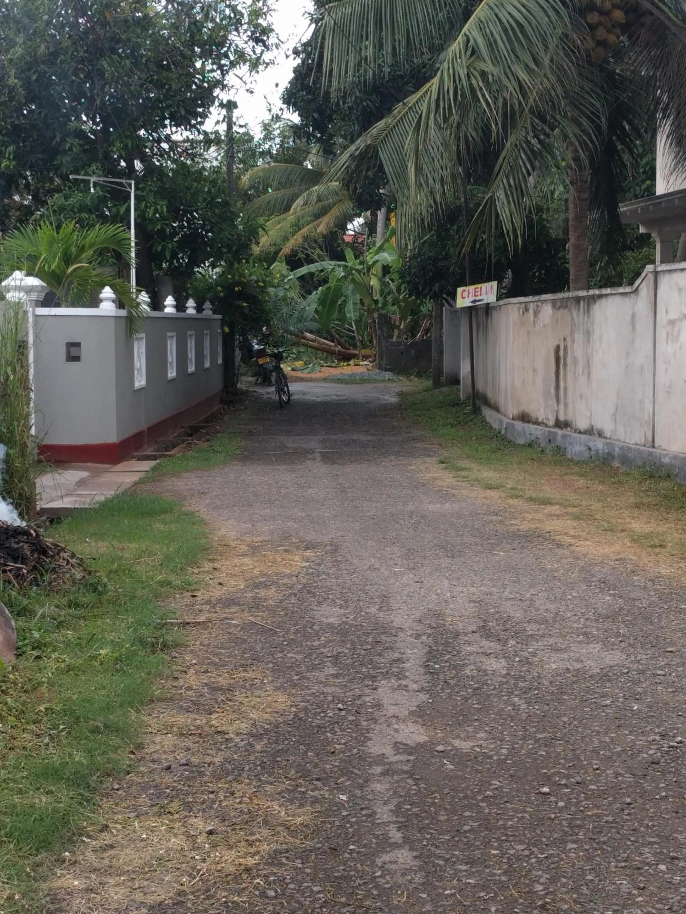 Neighbourhood in Chelli Homestay