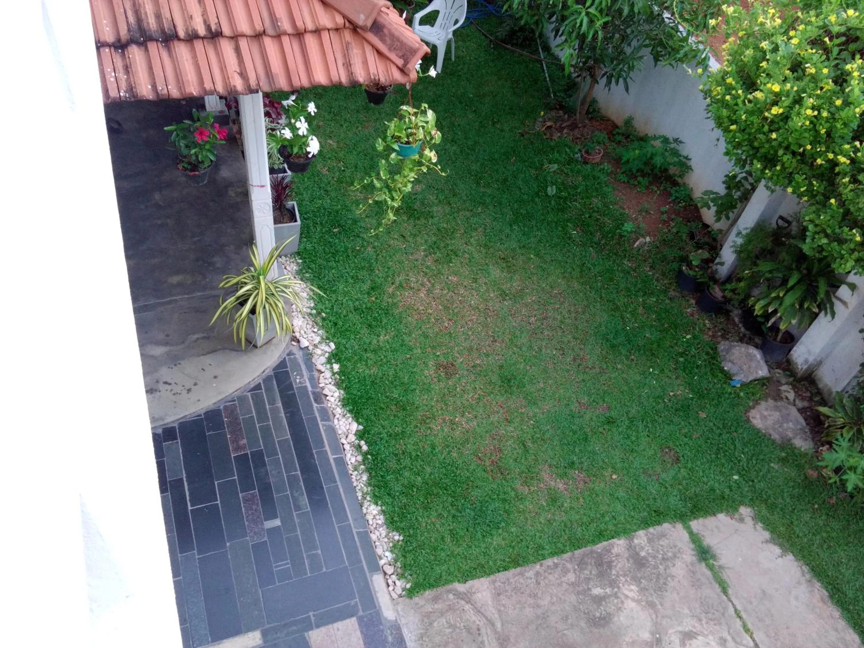 Garden in Chelli Homestay