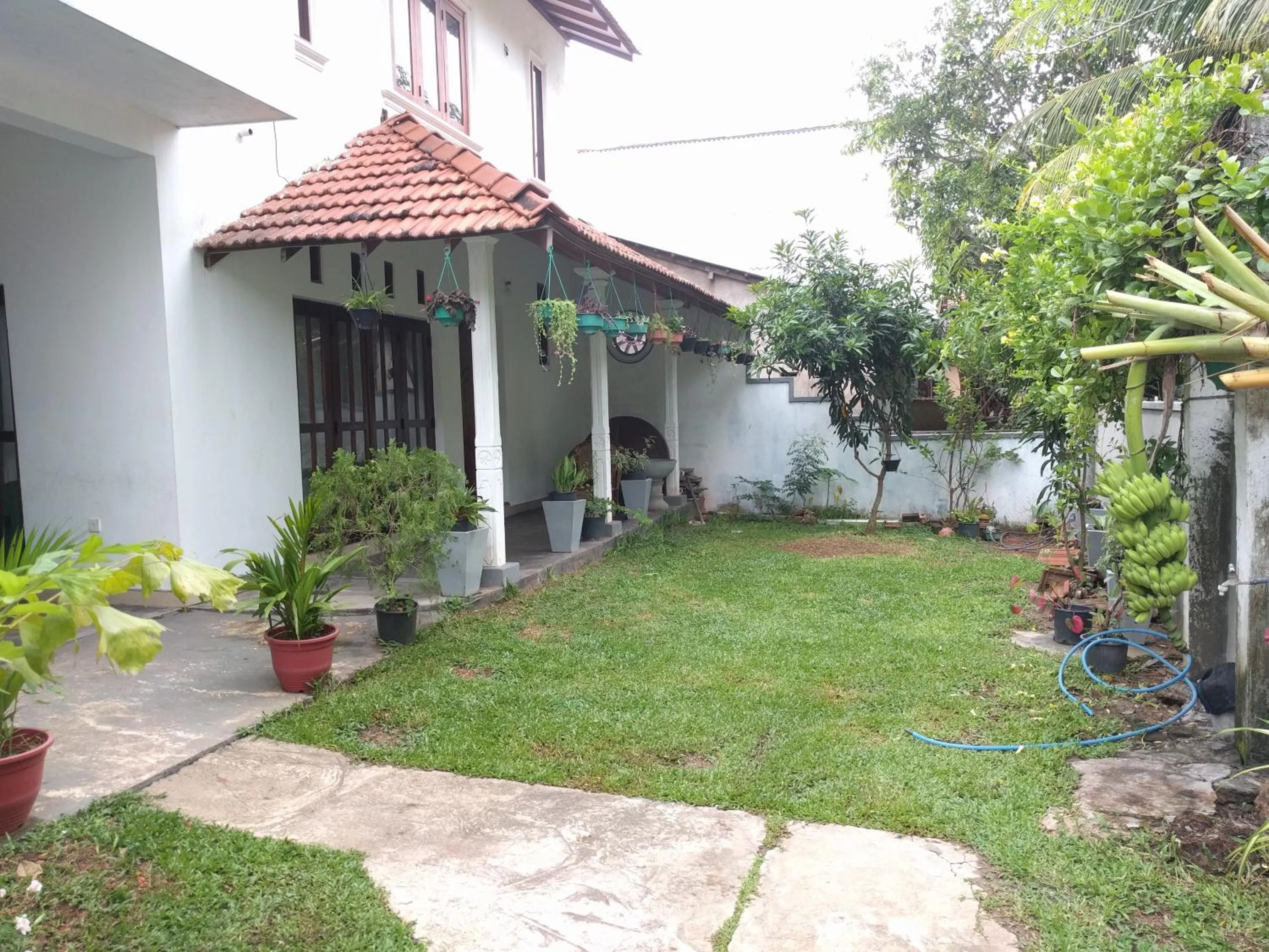 Garden in Chelli Homestay