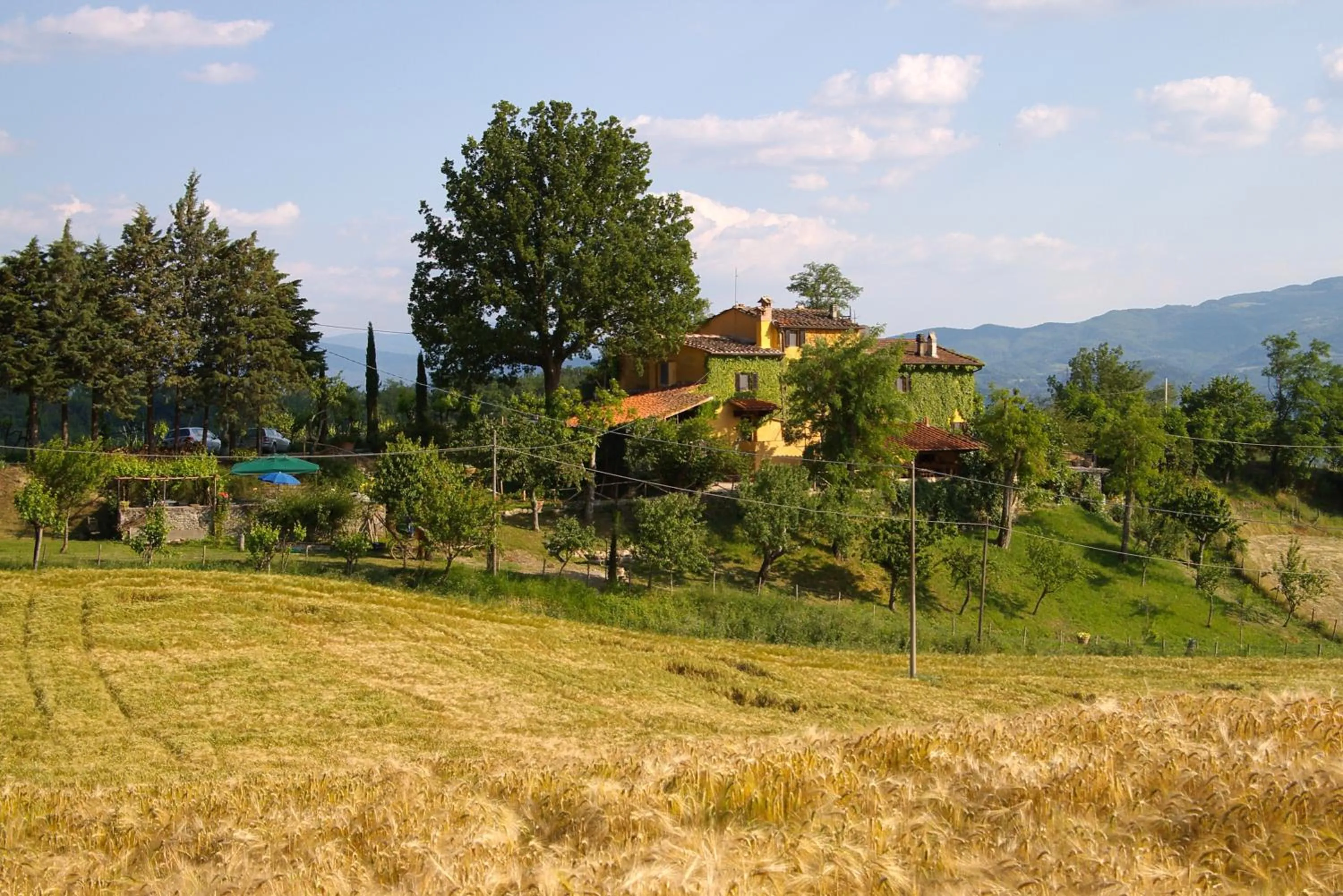 B&B Le Due Volpi
