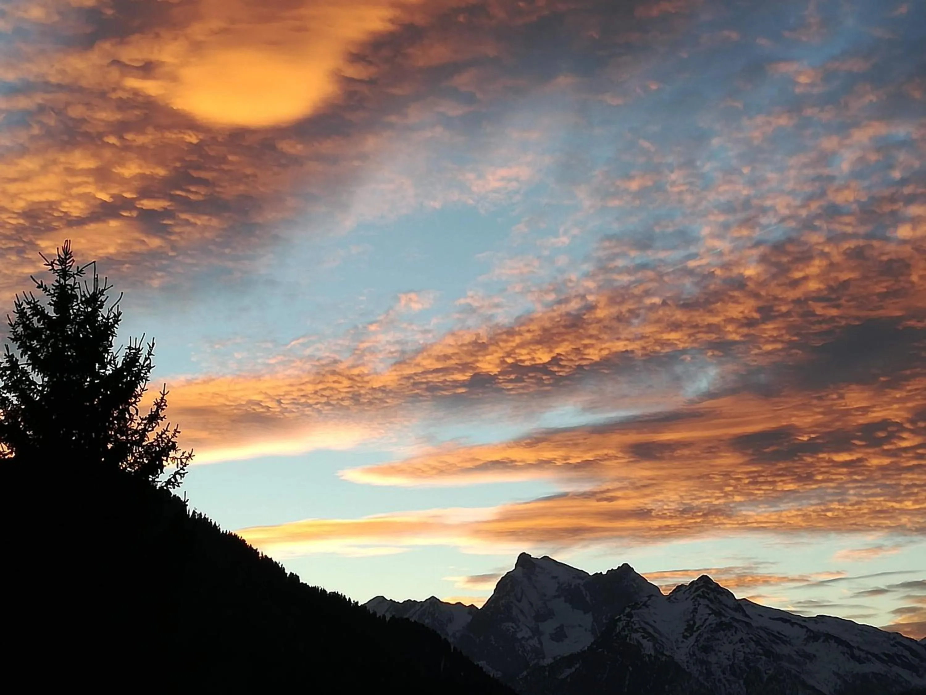 Natural landscape in Hotel Ca' del Bosco