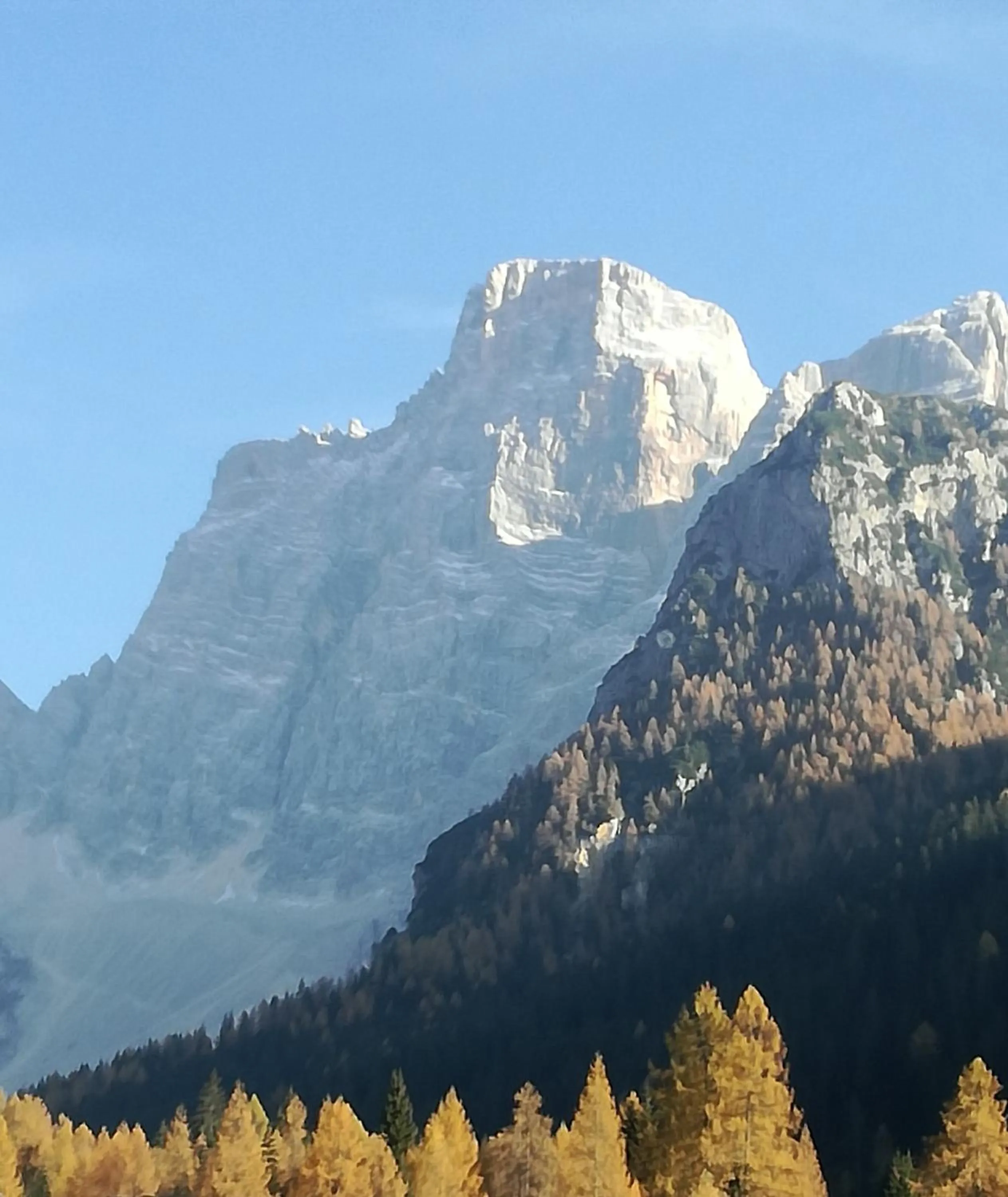 Natural landscape in Hotel Ca' del Bosco