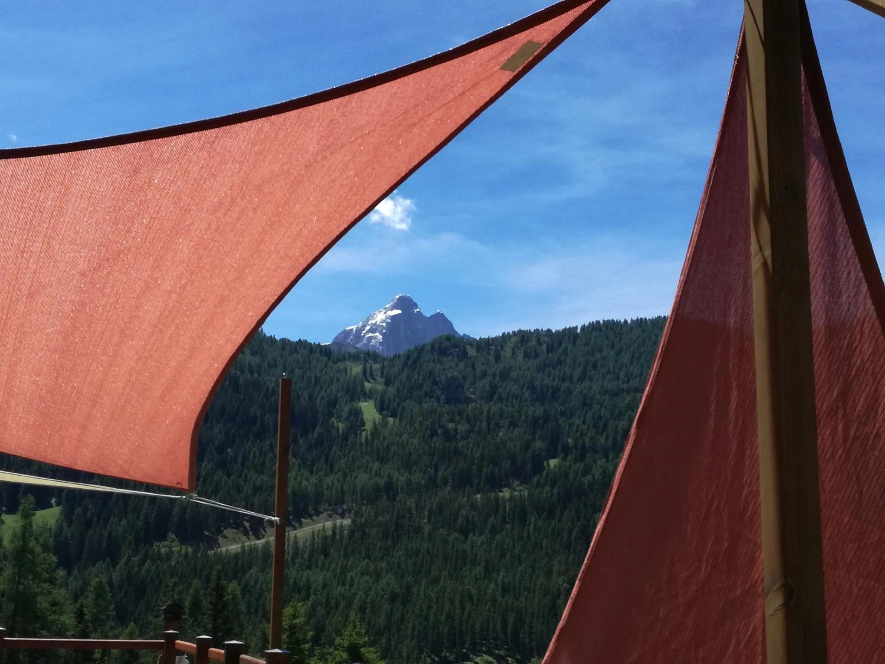 Natural landscape in Hotel Ca' del Bosco