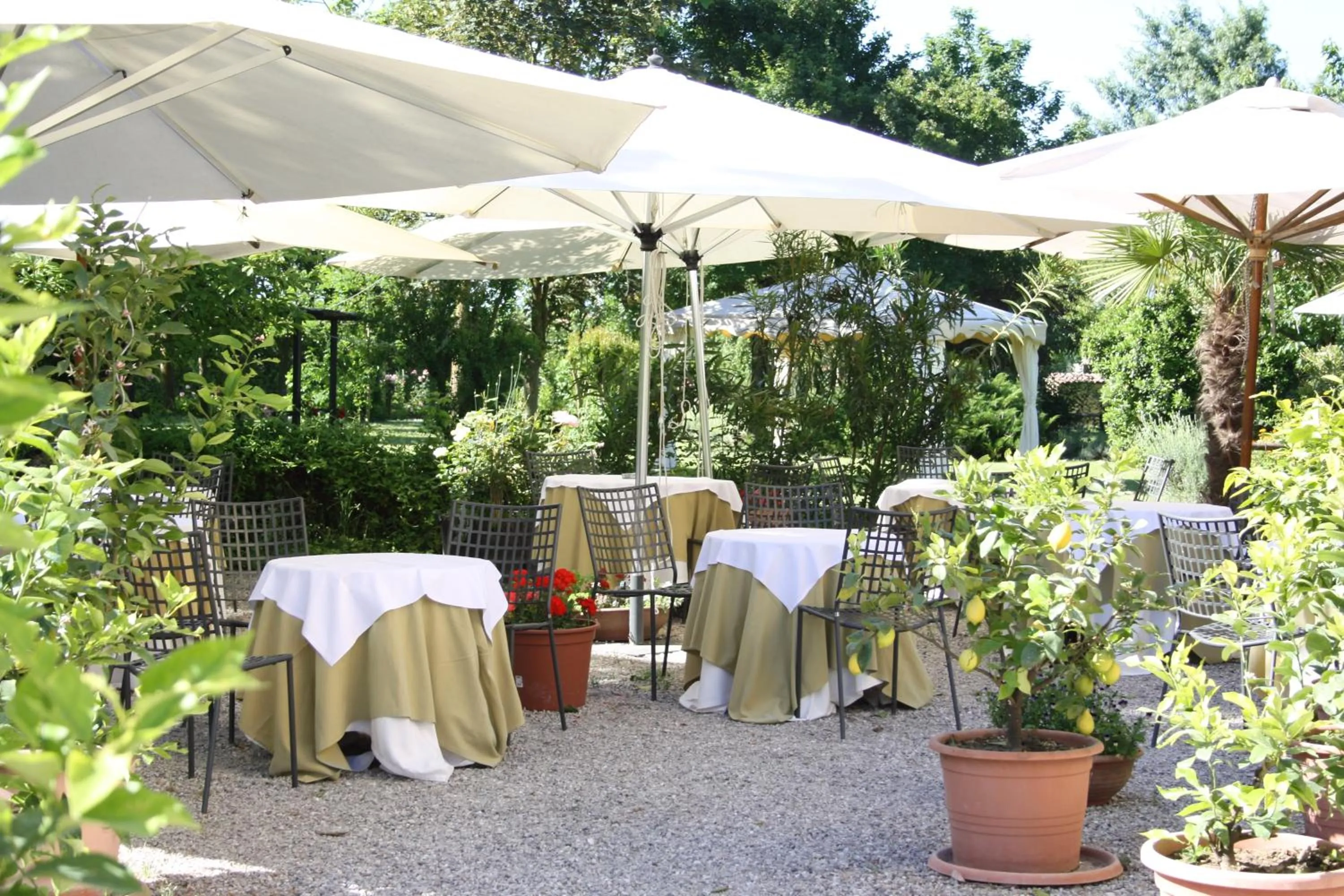 Garden in Villa Belfiore