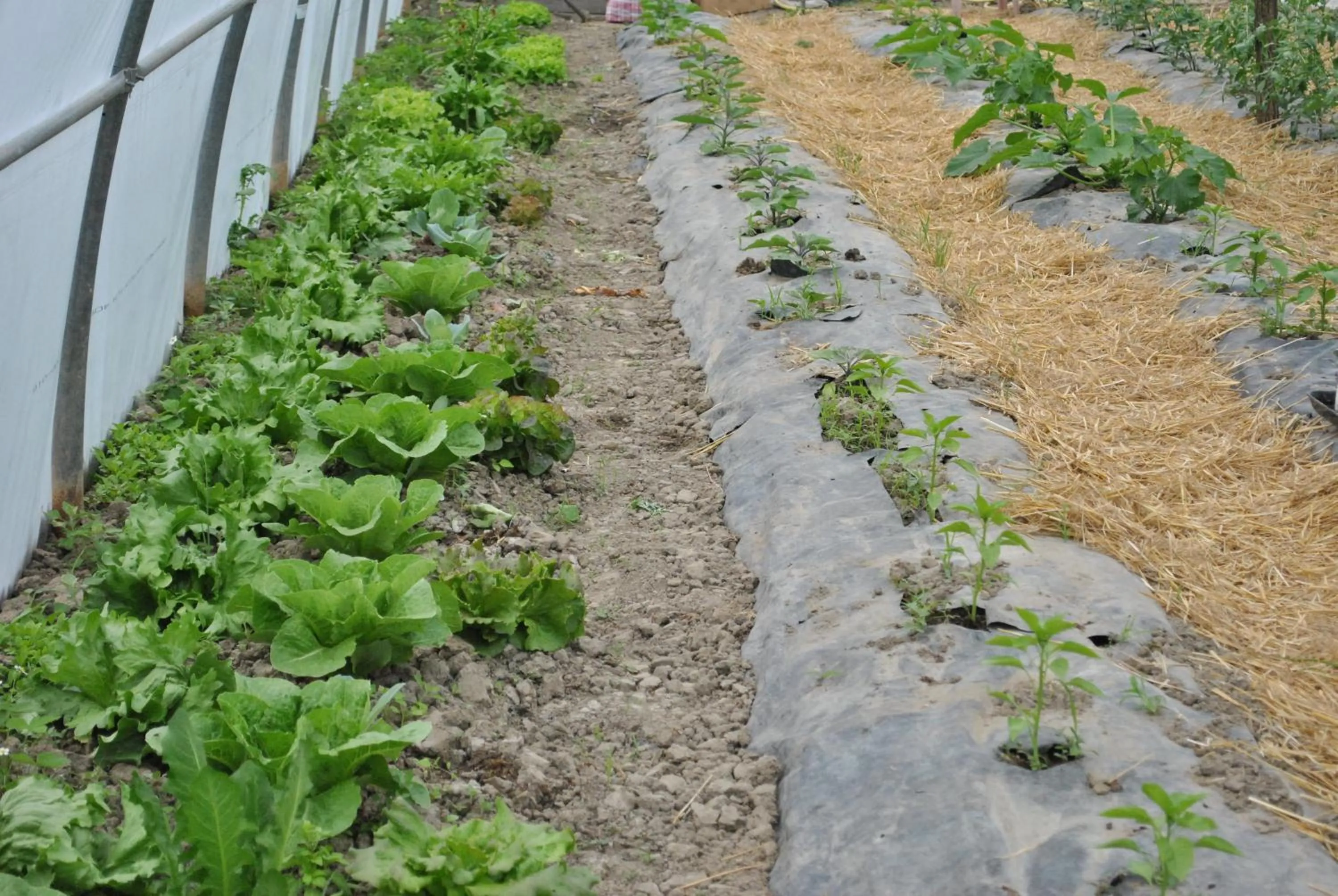 Activities in La Lanterna di Guiglia