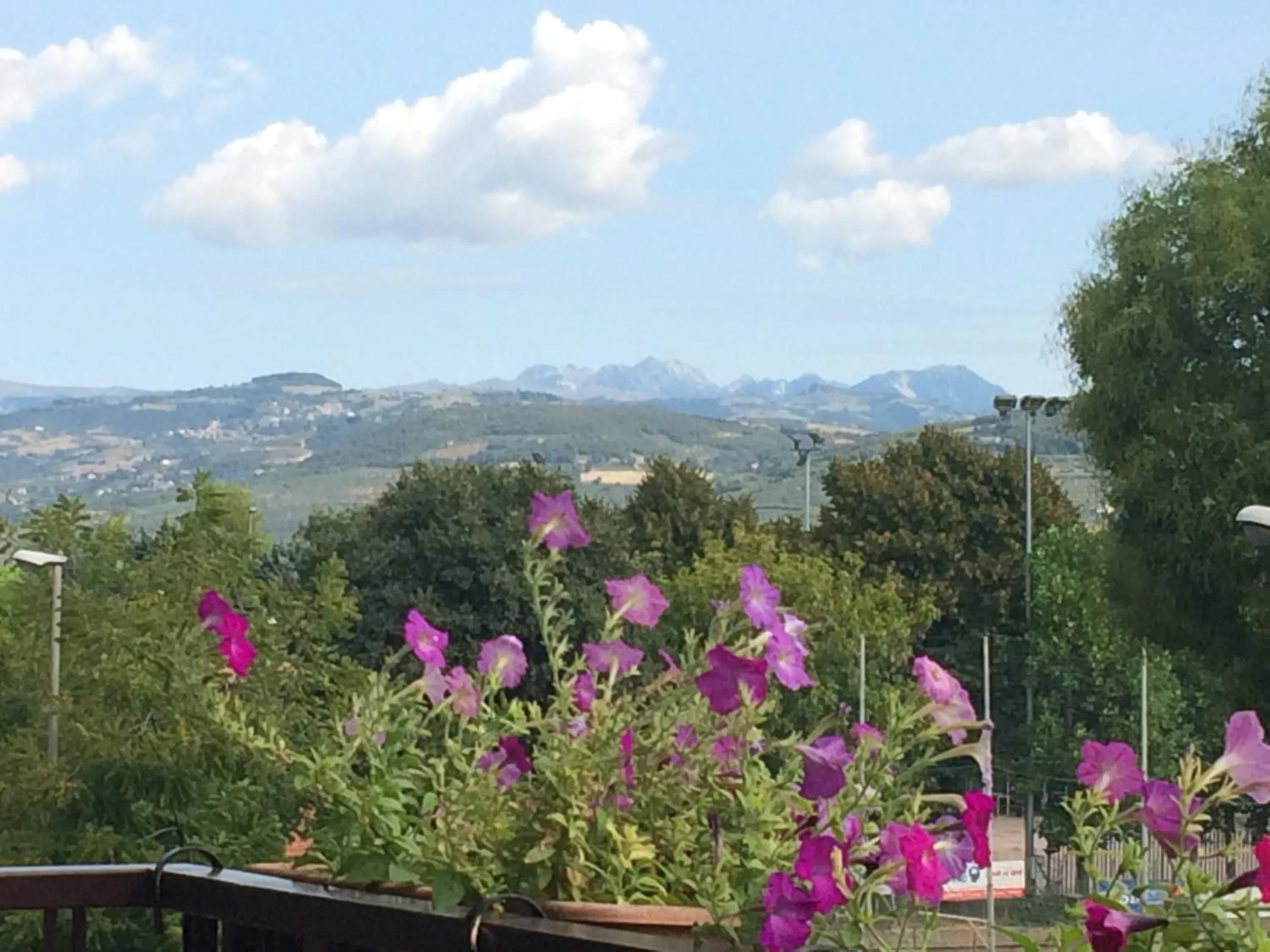 View (from property/room) in B&B Pergolesi