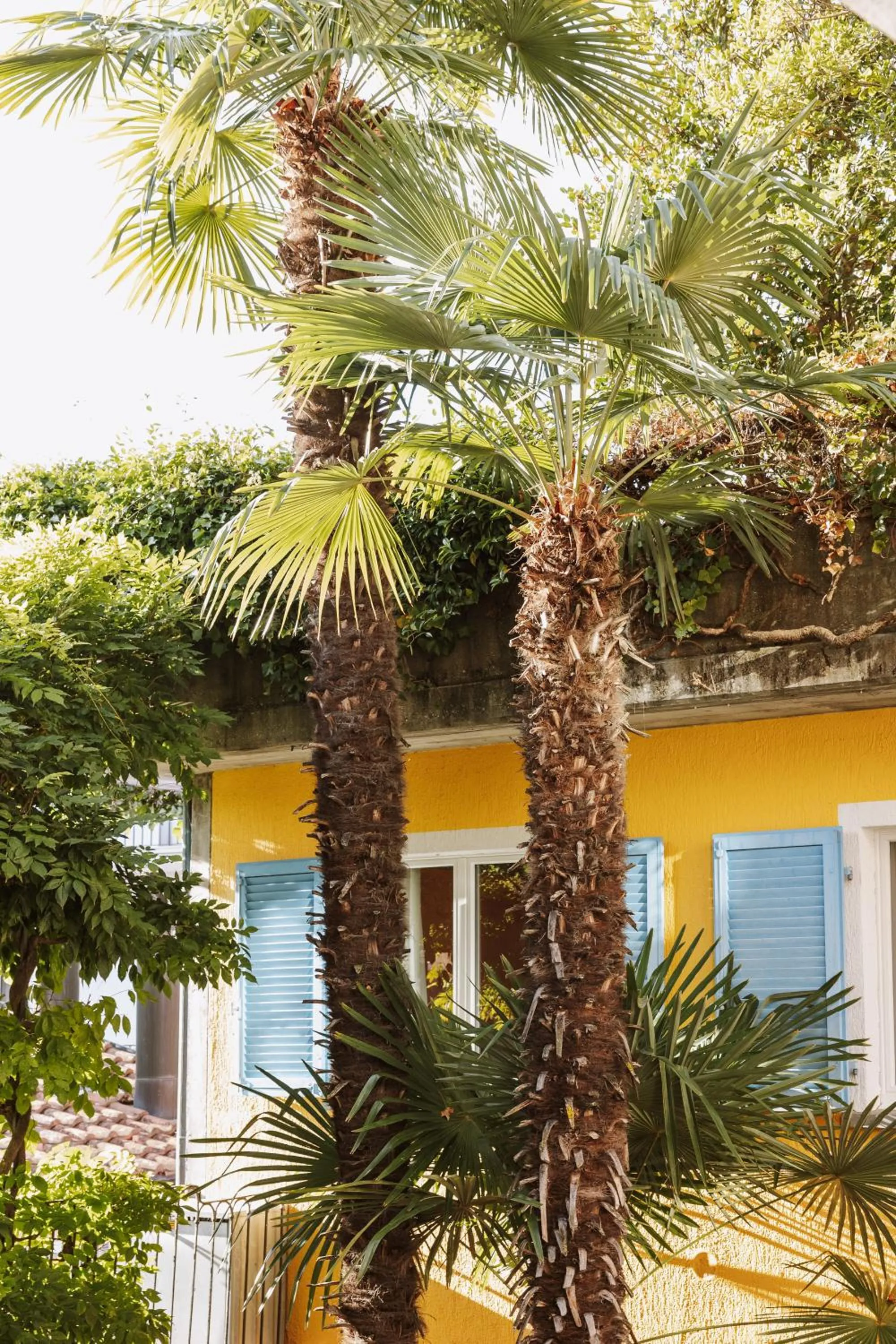 Patio in Art Hotel Riposo