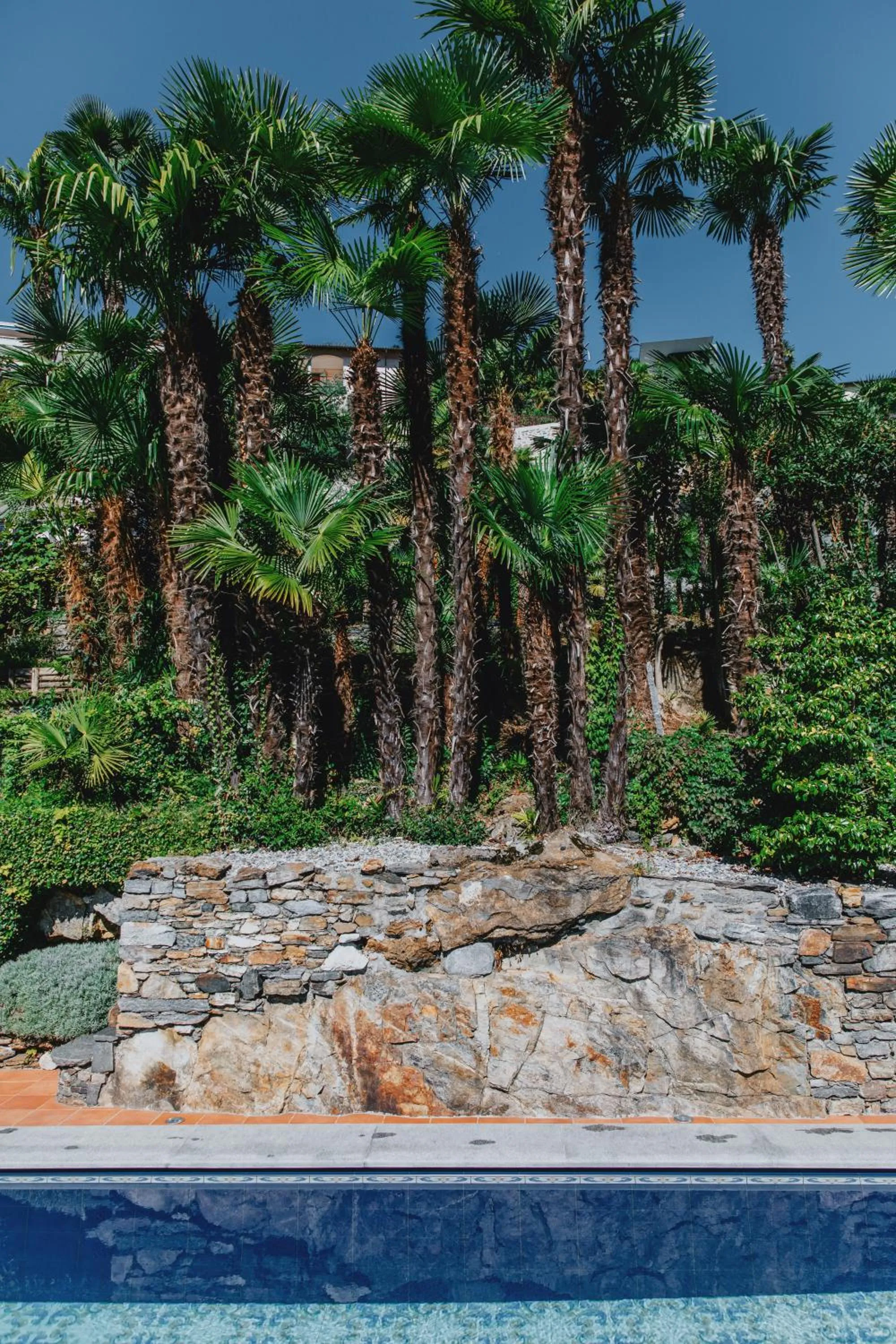 Natural landscape in Art Hotel Riposo