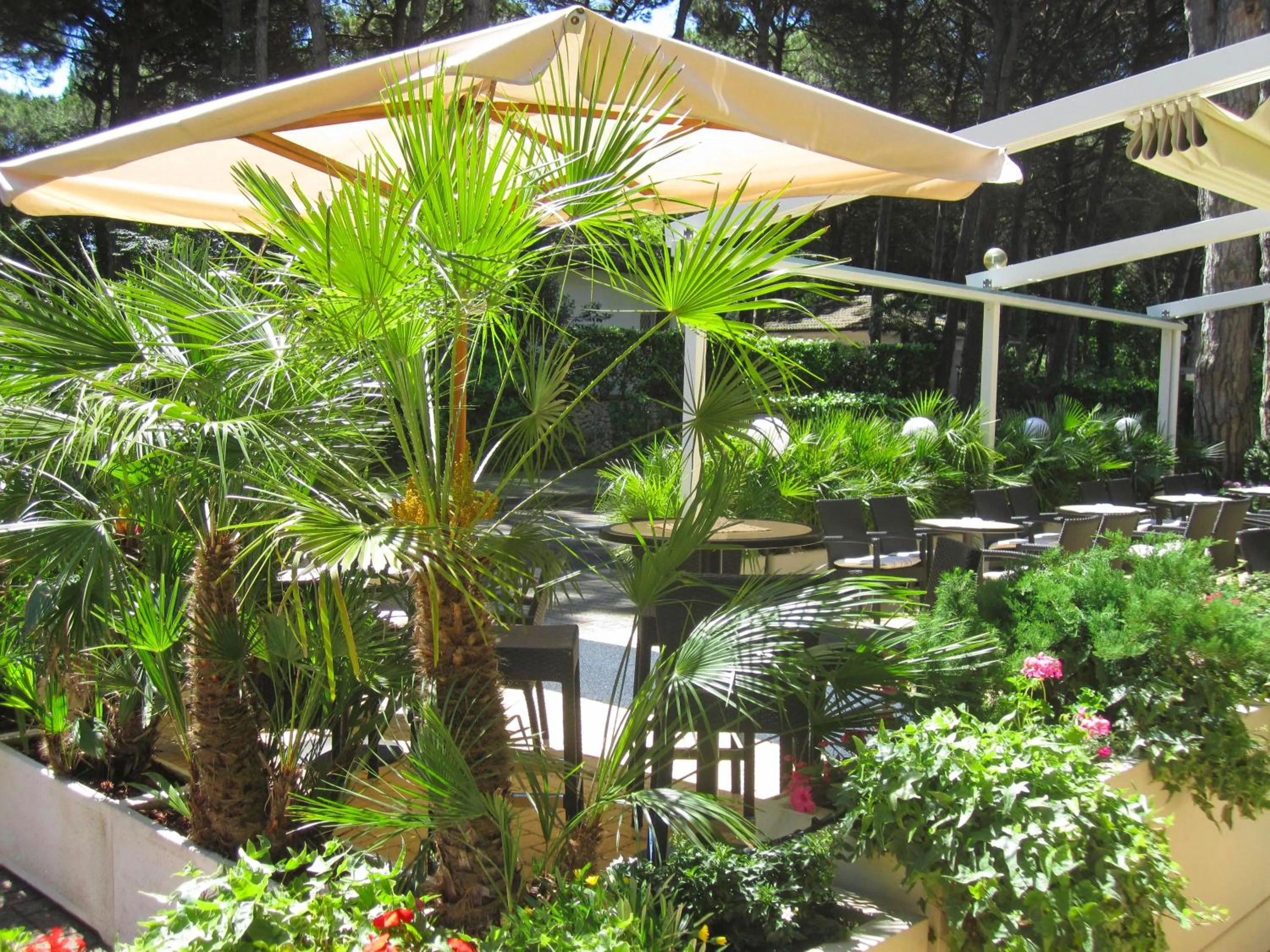 Area and facilities in Hotel Milano