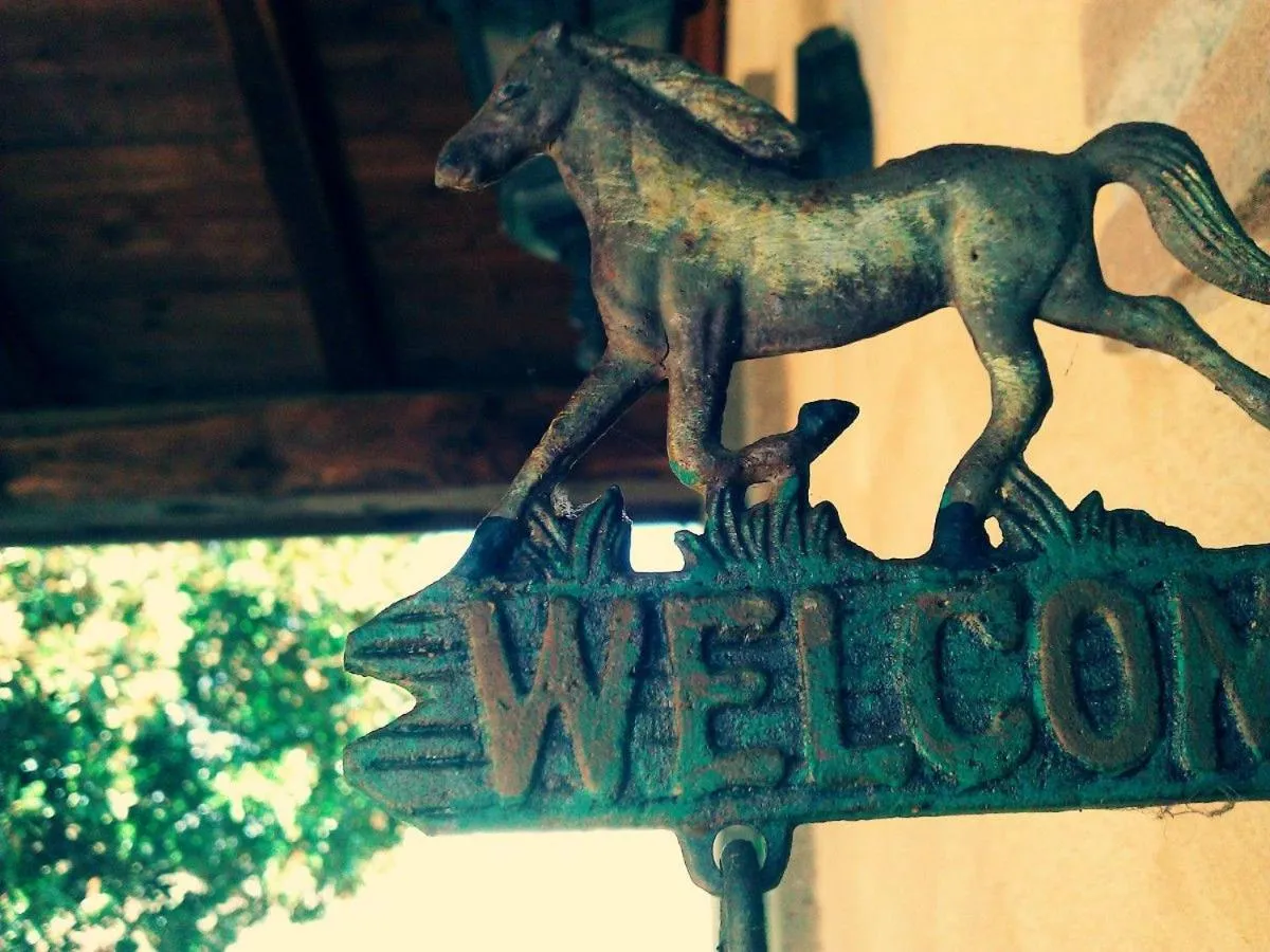 Patio in B&B Sole Mio