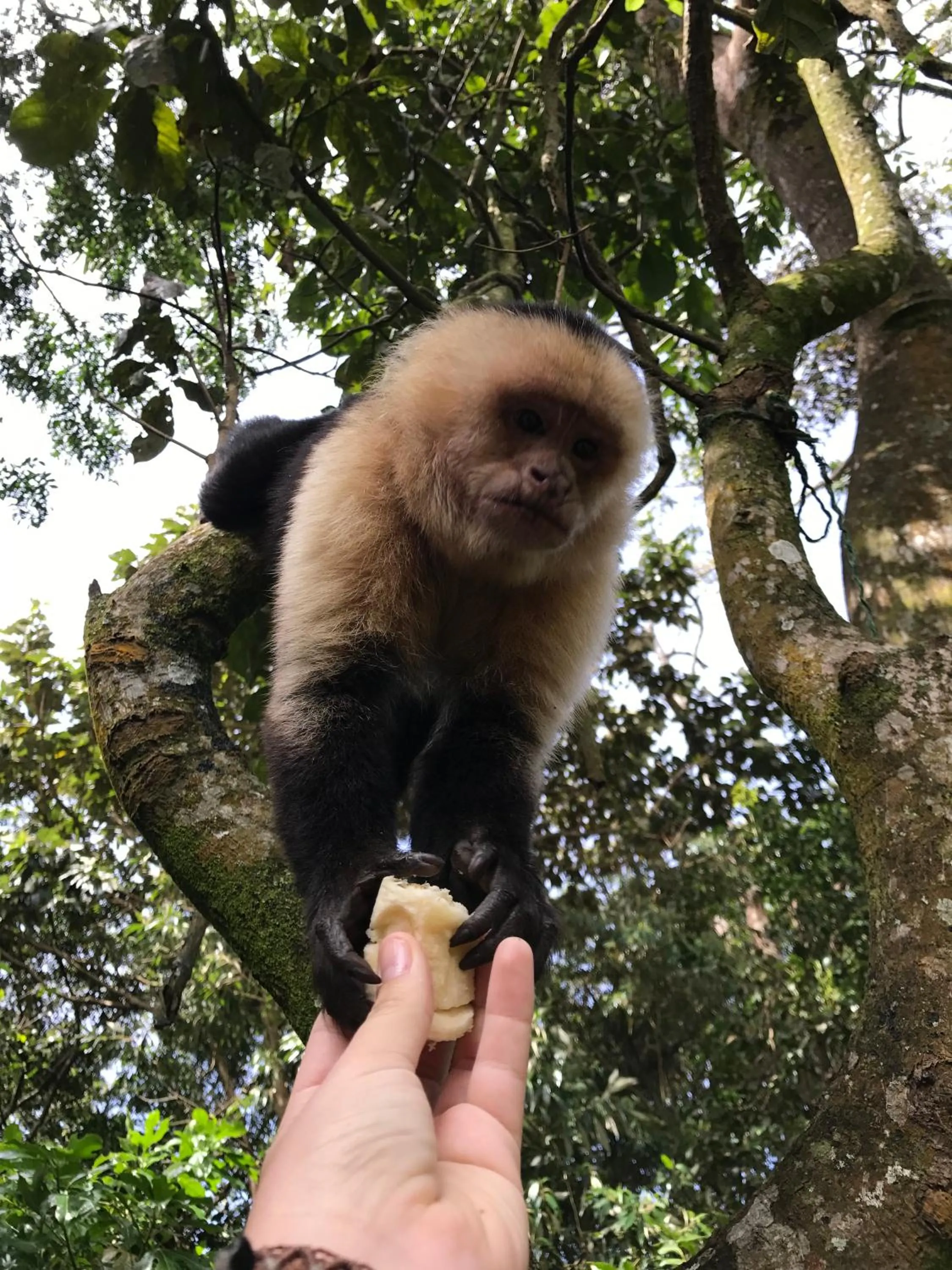 Patio in Dreams Lodge