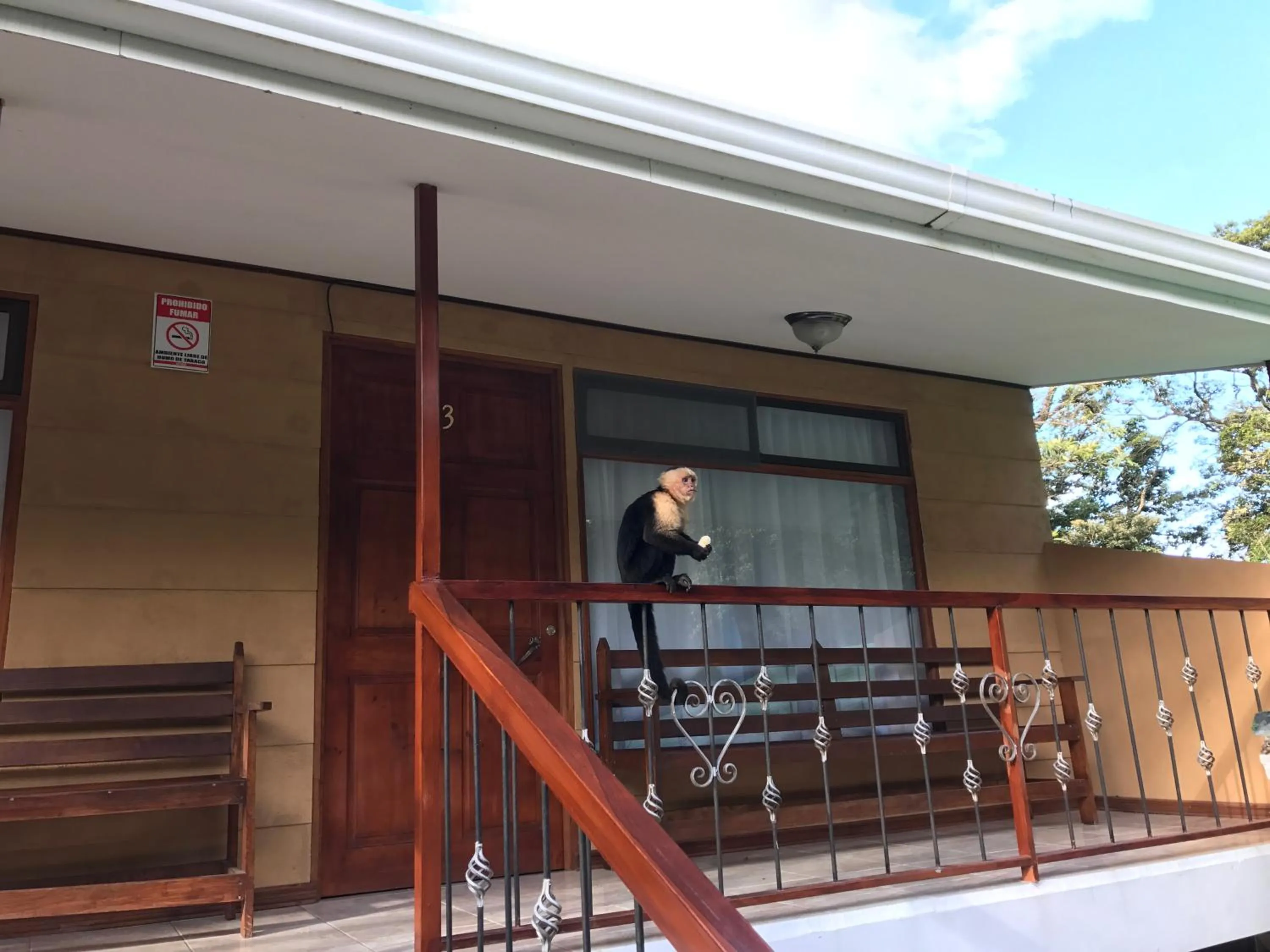 Balcony/Terrace in Dreams Lodge